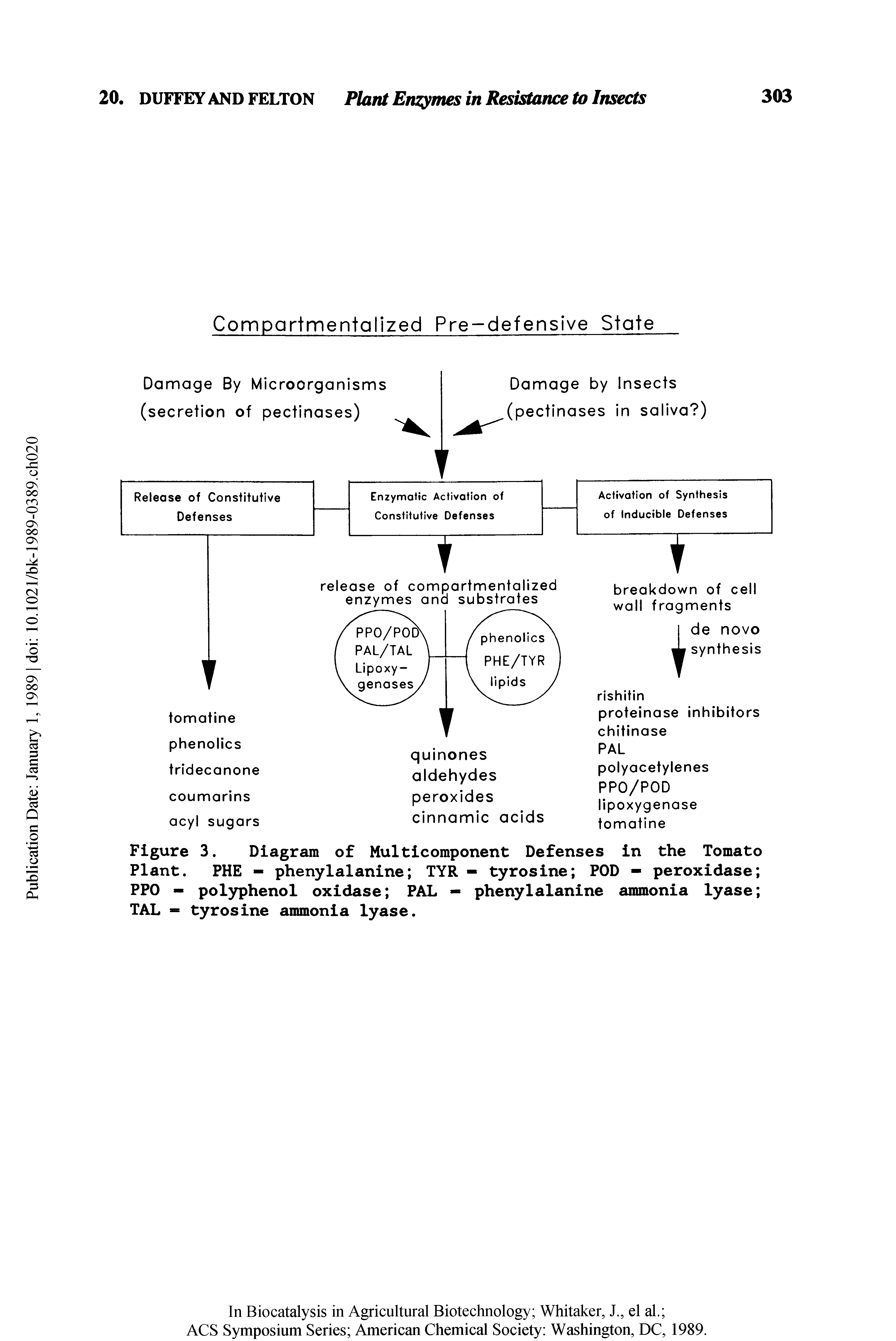 Figure 3. Diagram of Multicomponent Defenses in the Tomato Plant. PHE - phenylalanine TYR - tyrosine POD - peroxidase PPO - polyphenol oxidase PAL - phenylalanine ammonia lyase TAL — tyrosine ammonia lyase.