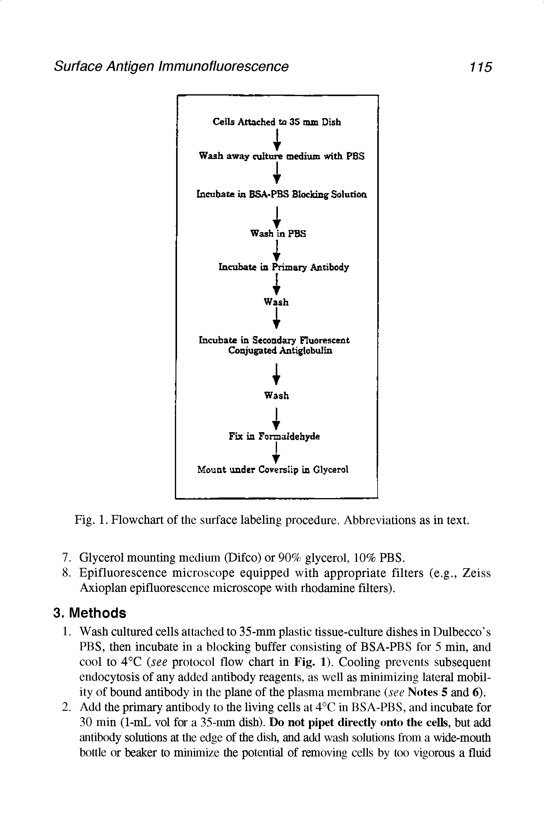 Fig. 1. Flowchart of the surface labeling procedure. Abbreviations as in text.