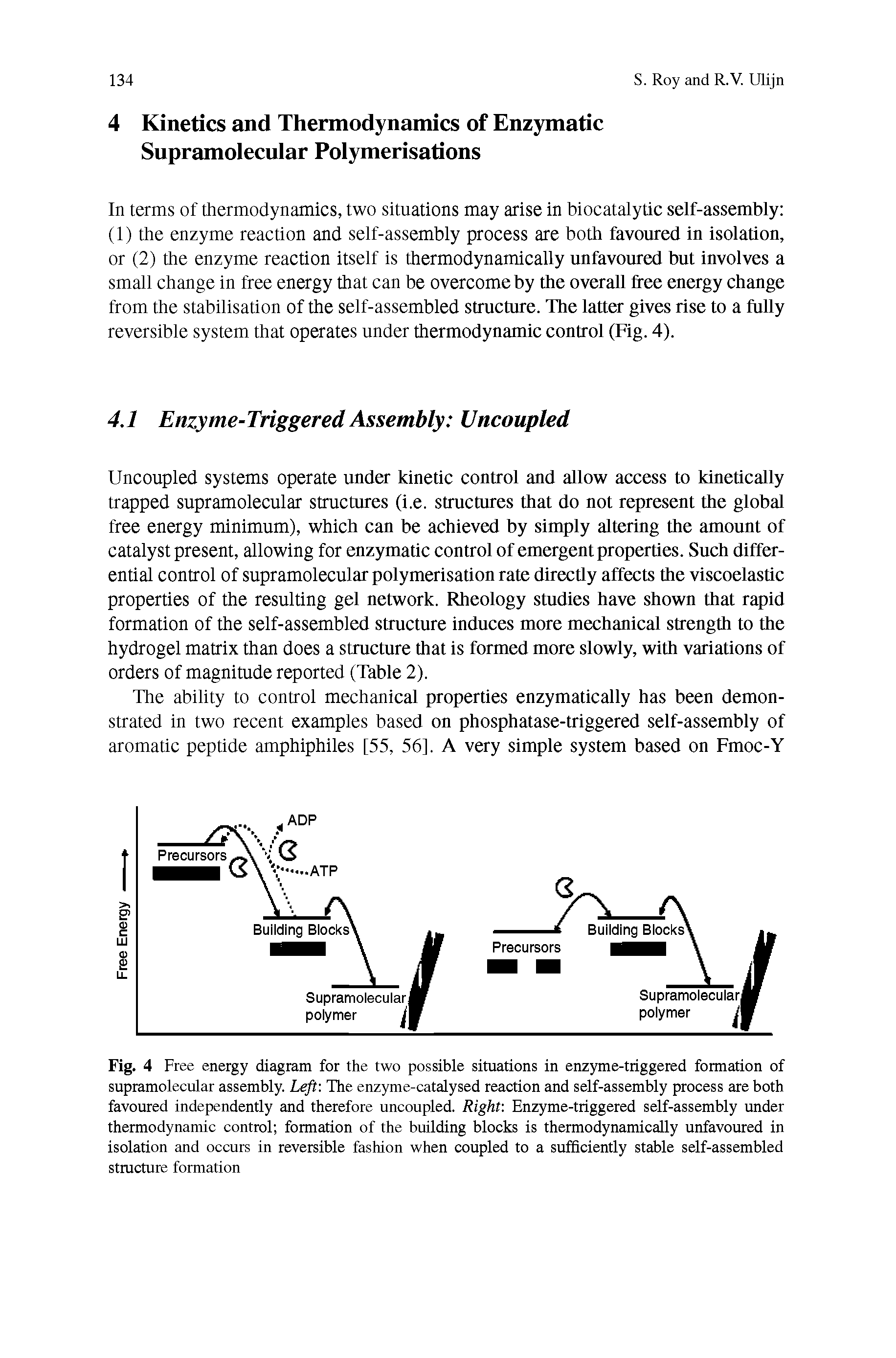 Fig. 4 Free energy diagram for the two possible situations in enzyme-triggered formation of supramolecular assembly. Left. The enzyme-catalysed reaction and self-assembly process are both favoured independently and therefore uncoupled. Right. Enzyme-triggered self-assembly under thermodynamic control formation of the building blocks is thermodynamically unfavoured in isolation and occurs in reversible fashion when coupled to a sufficiently stable self-assembled structure formation...