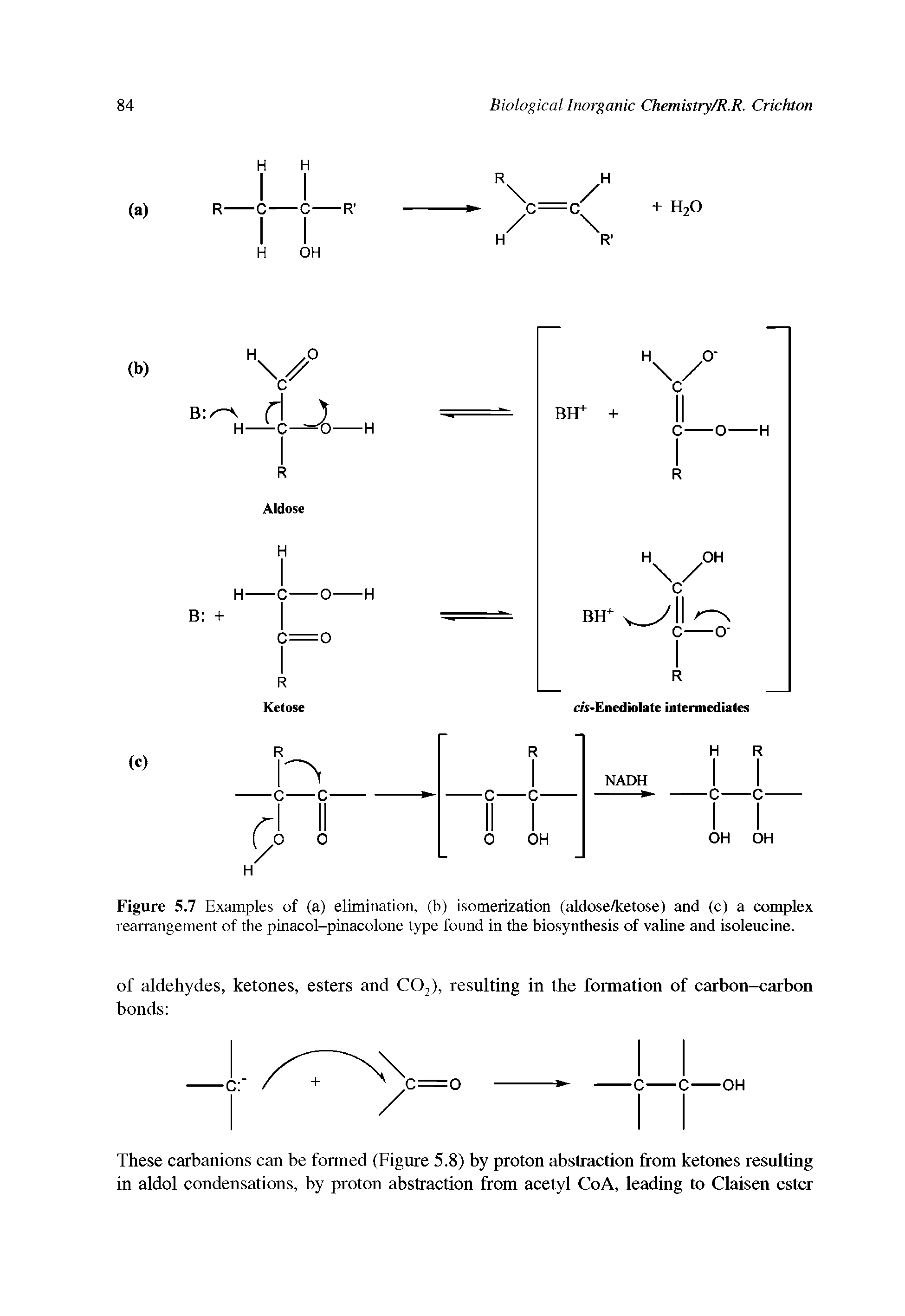 Figure 5.7 Examples of (a) elimination, (b) isomerization (aldose/ketose) and (c) a complex rearrangement of the pinacol-pinacolone type found in the biosynthesis of valine and isoleucine.