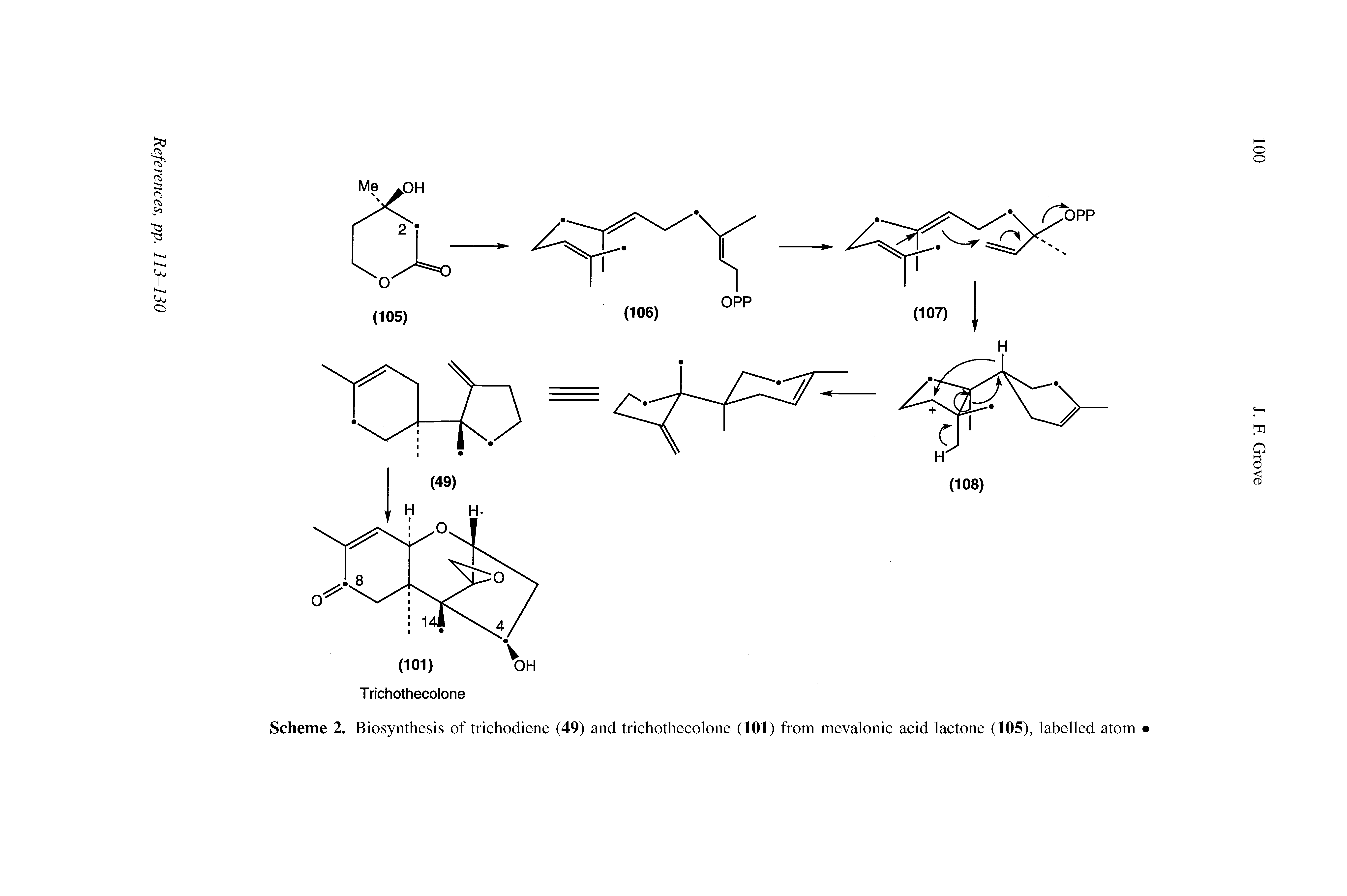 Scheme 2. Biosynthesis of trichodiene (49) and trichothecolone (101) from mevalonic acid lactone (105), labelled atom <...