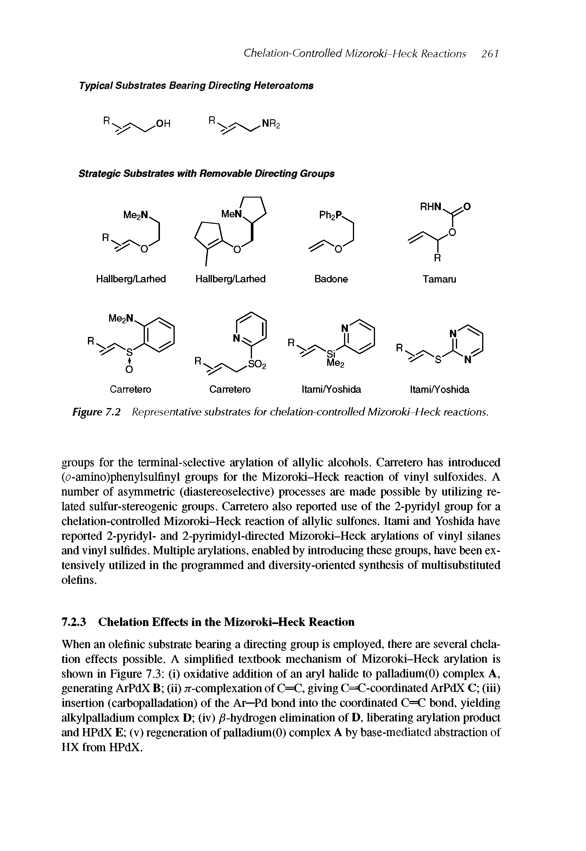 Figure 7.2 Representative substrates for chelation-controlled Mizoroki-Heck reactions.