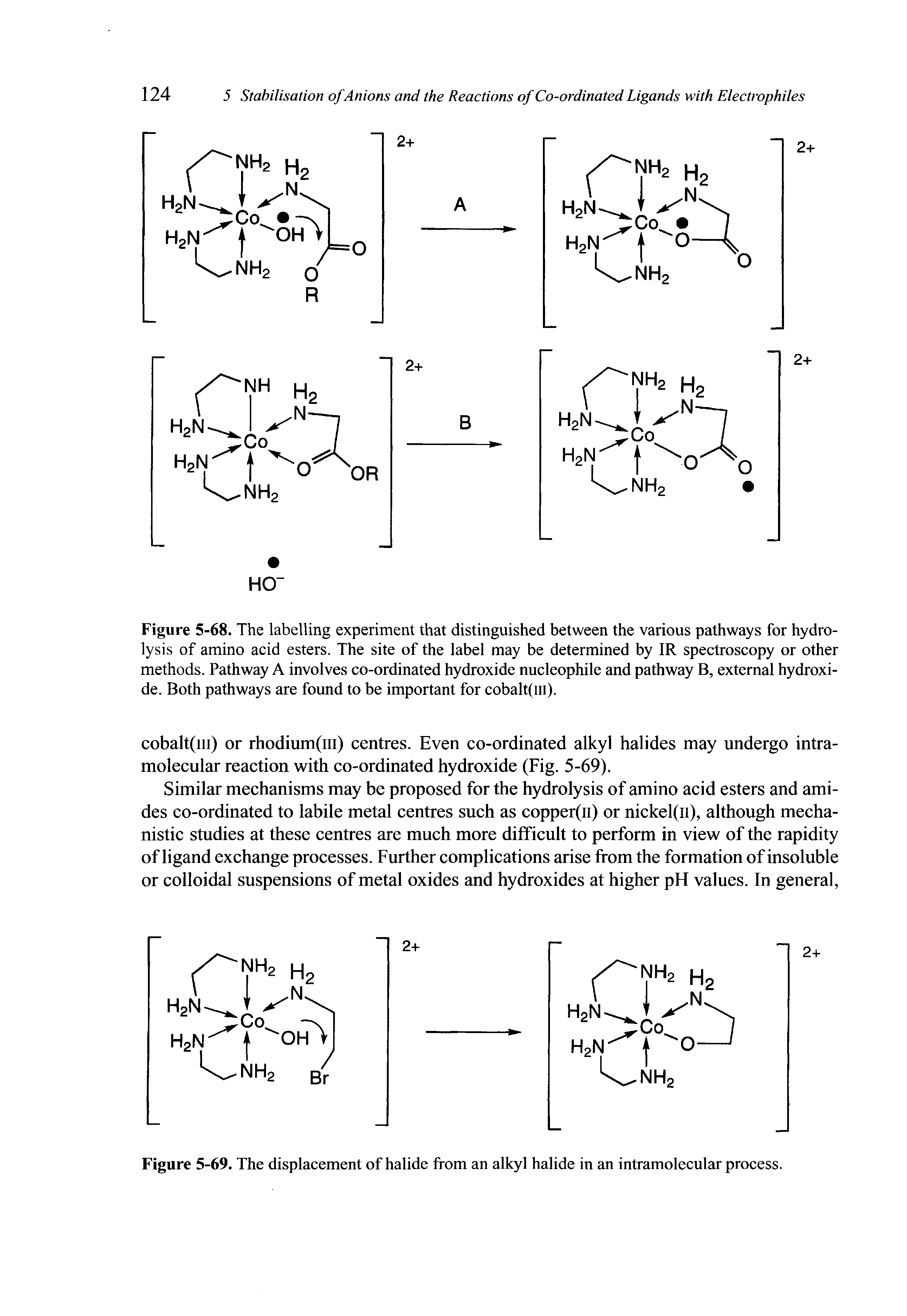 Figure 5-68. The labelling experiment that distinguished between the various pathways for hydrolysis of amino acid esters. The site of the label may be determined by IR spectroscopy or other methods. Pathway A involves co-ordinated hydroxide nucleophile and pathway B, external hydroxide. Both pathways are found to be important for cobalt(m).