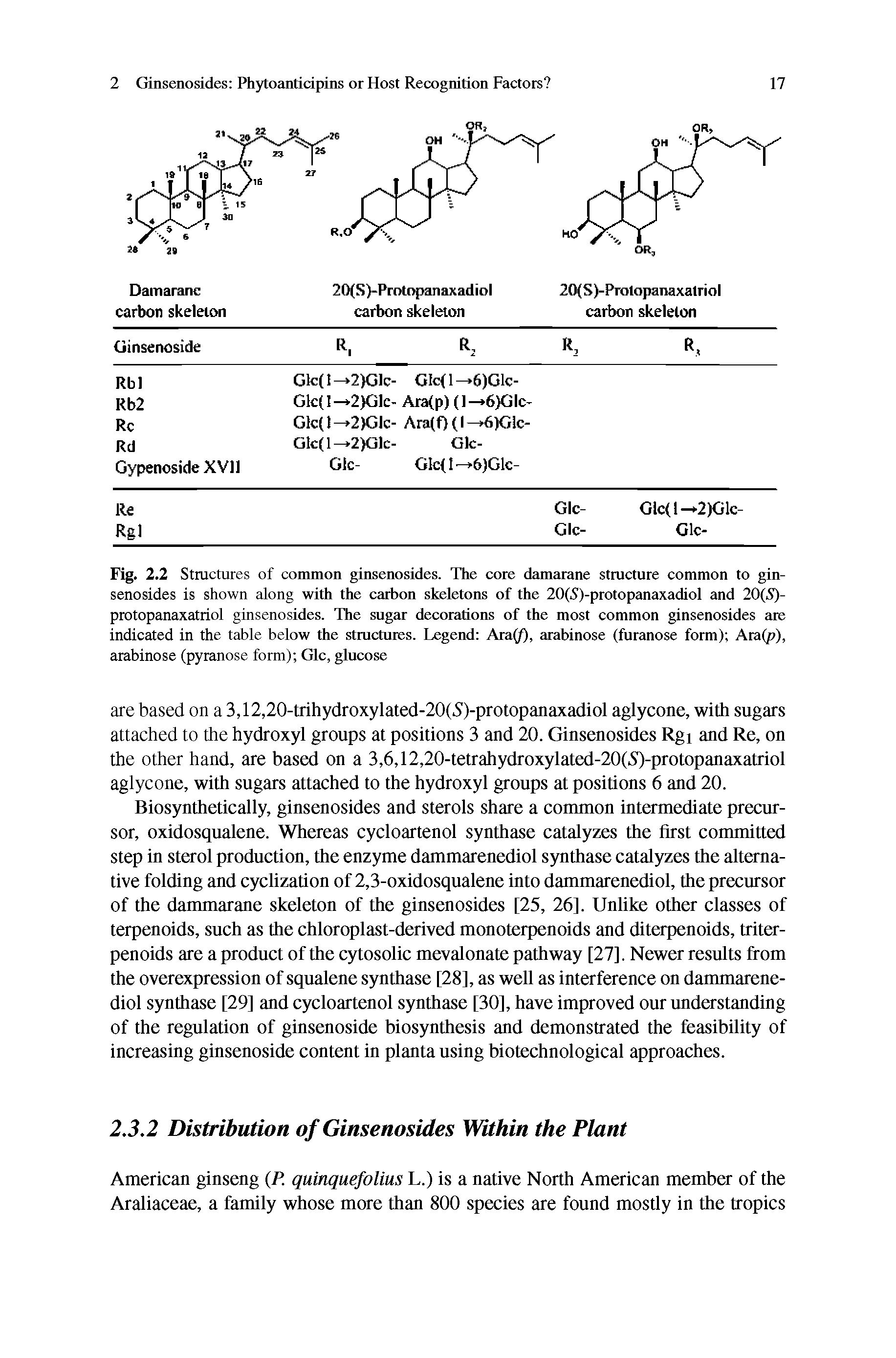 Fig. 2.2 Structures of common ginsenosides. The core damarane structure common to ginsenosides is shown along with the carbon skeletons of the 20(S)-protopanaxadiol and 20(S)-protopanaxatriol ginsenosides. The sugar decorations of the most common ginsenosides are indicated in the table below the structures. Legend Ara(/), arabinose (furanose form) Ara(p), arabinose (pyranose form) Glc, glucose...