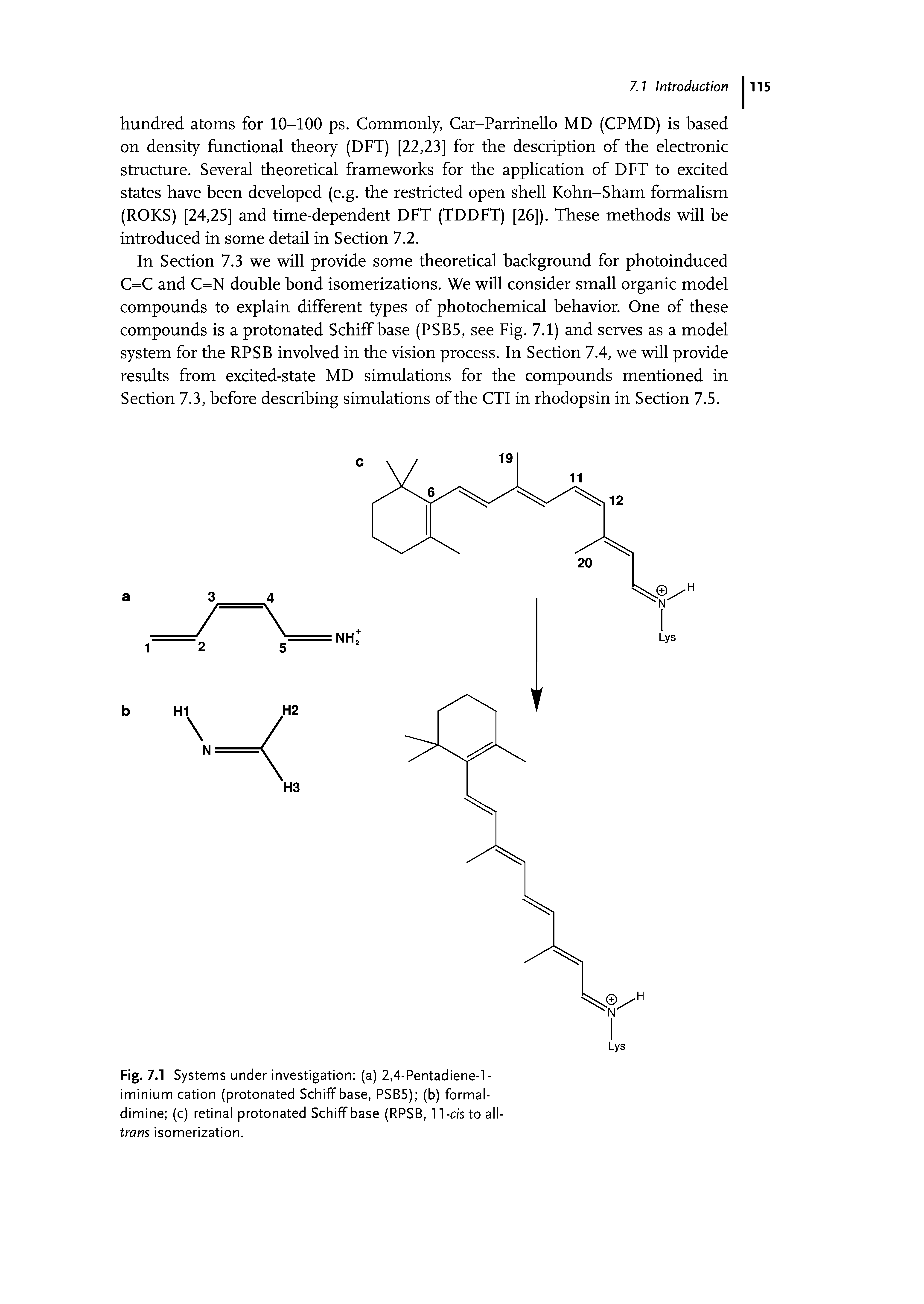 Fig. 7.1 Systems under investigation (a) 2,4-Pentadiene-l-iminium cation (protonated Schiff base, PSB5) (b) formal-dimine (c) retinal protonated Schiff base (RPSB, 11-c/sto all-trans isomerization.