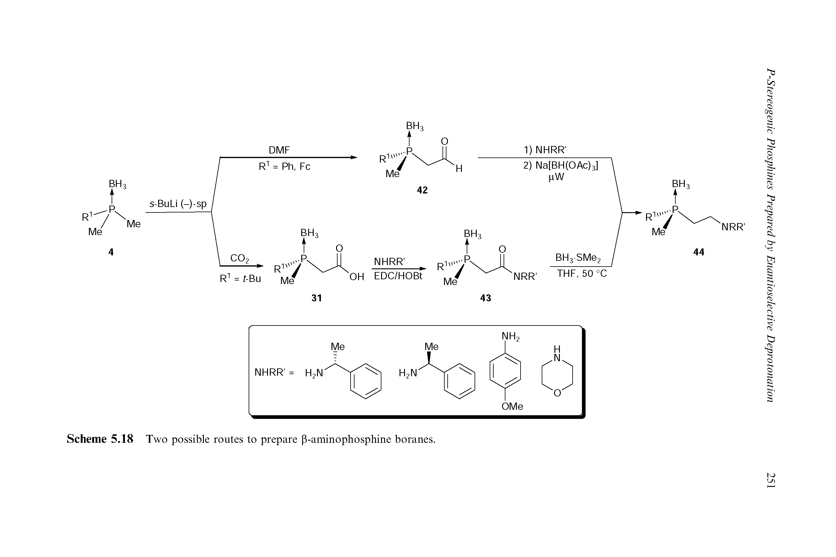 Scheme 5.18 Two possible routes to prepare p-aminophosphine boranes.