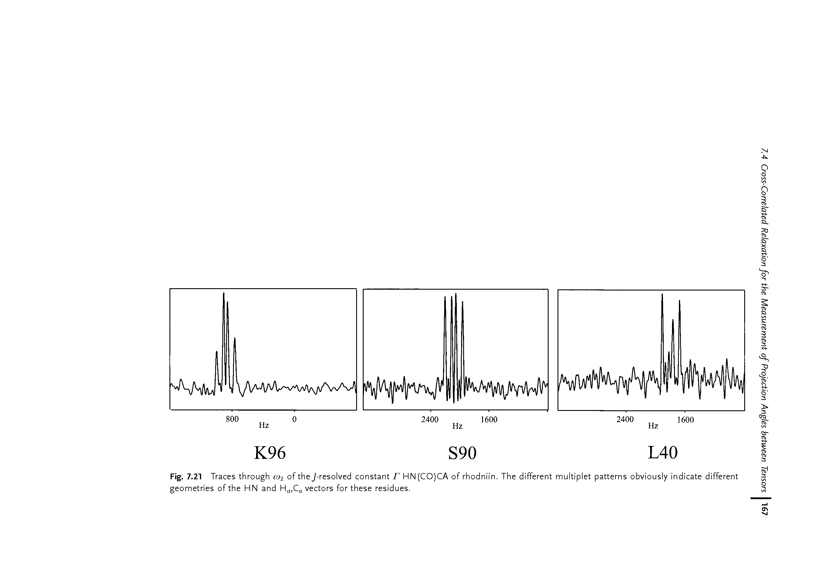Fig. 7.21 Traces through co2 of the J-resolved constant r HN(CO)CA of rhodniin. The different multiplet patterns obviously indicate different geometries of the HN and Ha,Ca vectors for these residues.