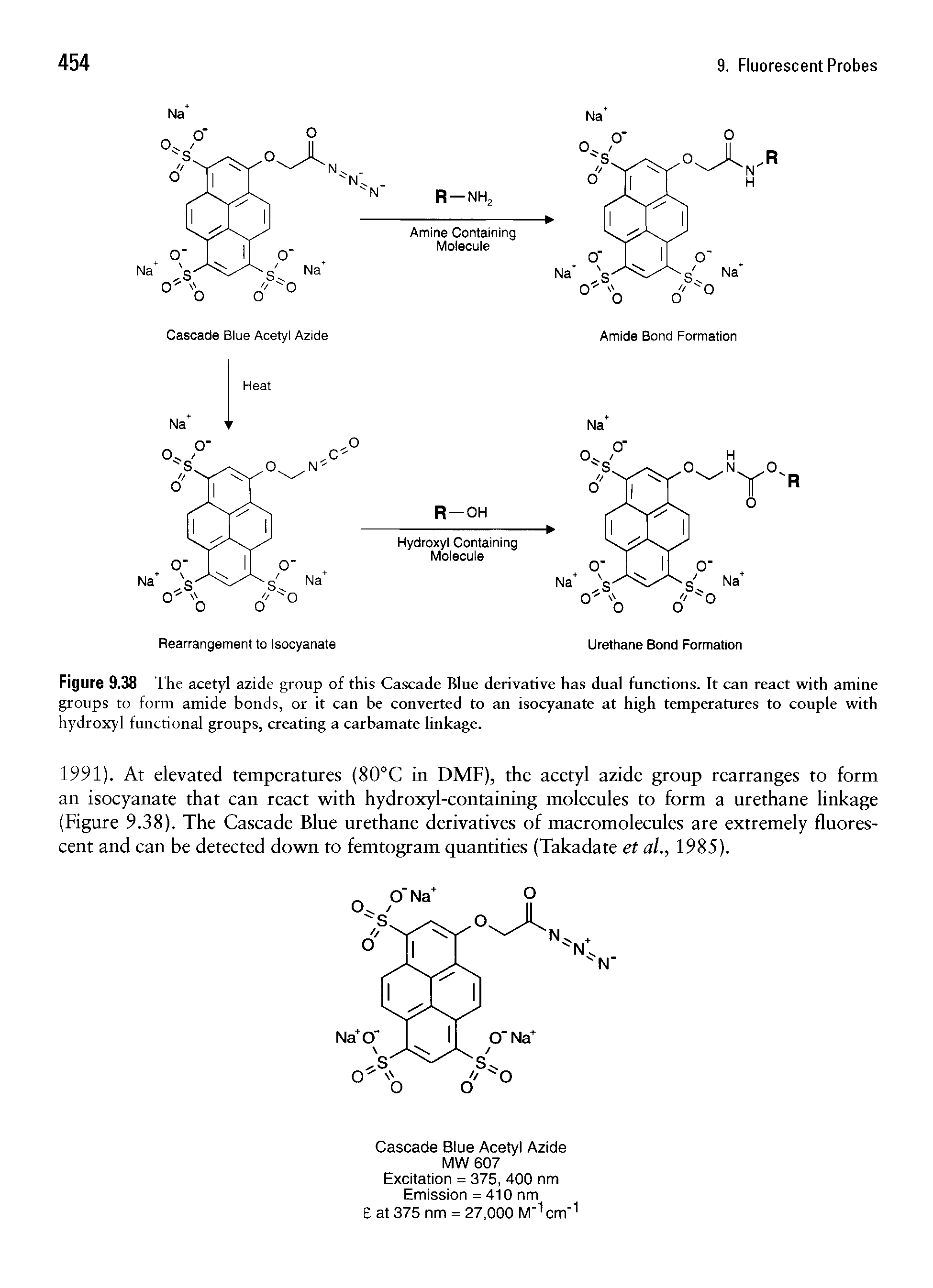 Figure 9.38 The acetyl azide group of this Cascade Blue derivative has dual functions. It can react with amine groups to form amide bonds, or it can be converted to an isocyanate at high temperatures to couple with hydroxyl functional groups, creating a carbamate linkage.