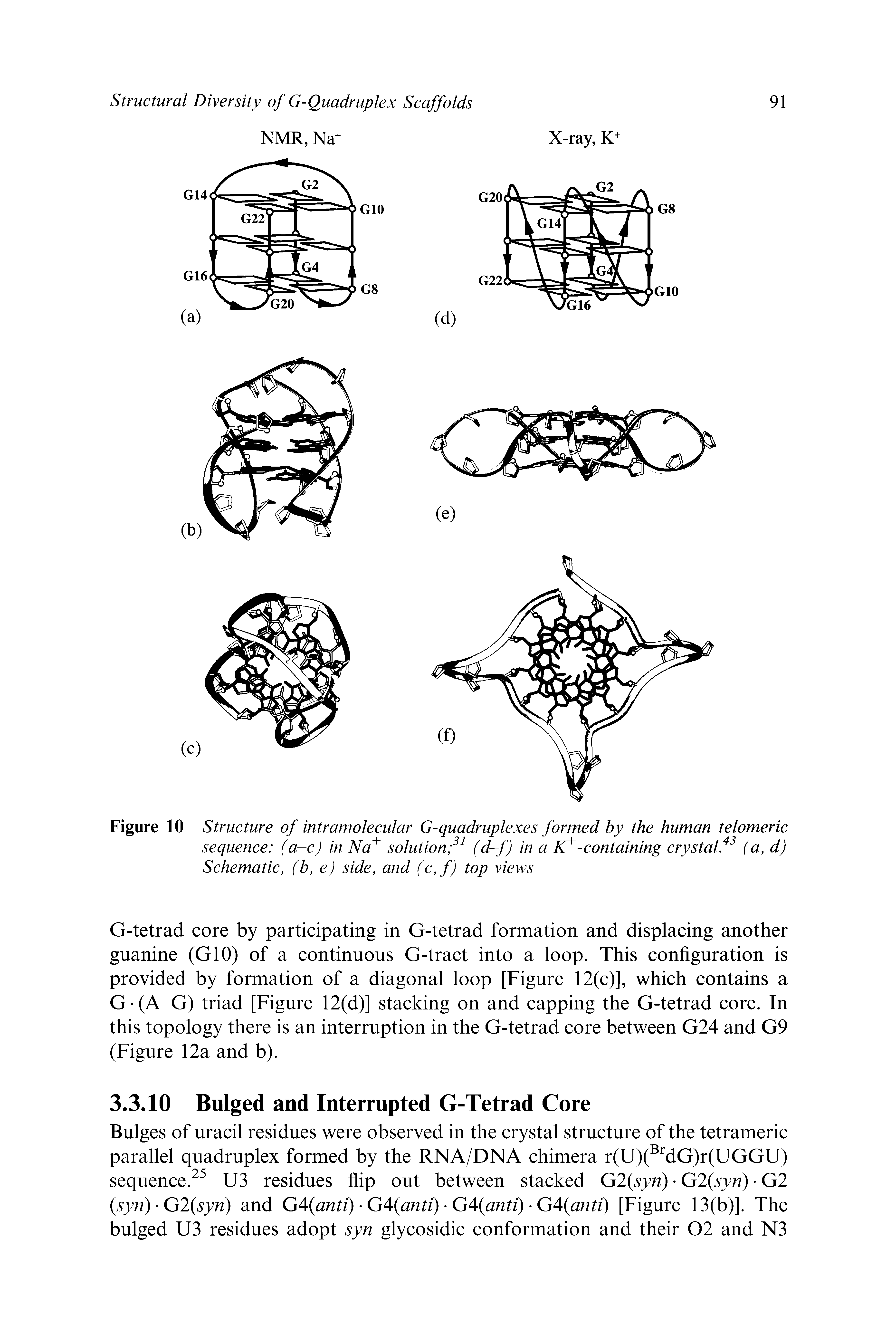 Figure 10 Structure of intramolecular G-quadruplexes formed by the human telomeric sequence (a-c) in Na solution (d-f) in a -containing crystalf (a, d) Schematic, (b, e) side, and (c,f) top views...