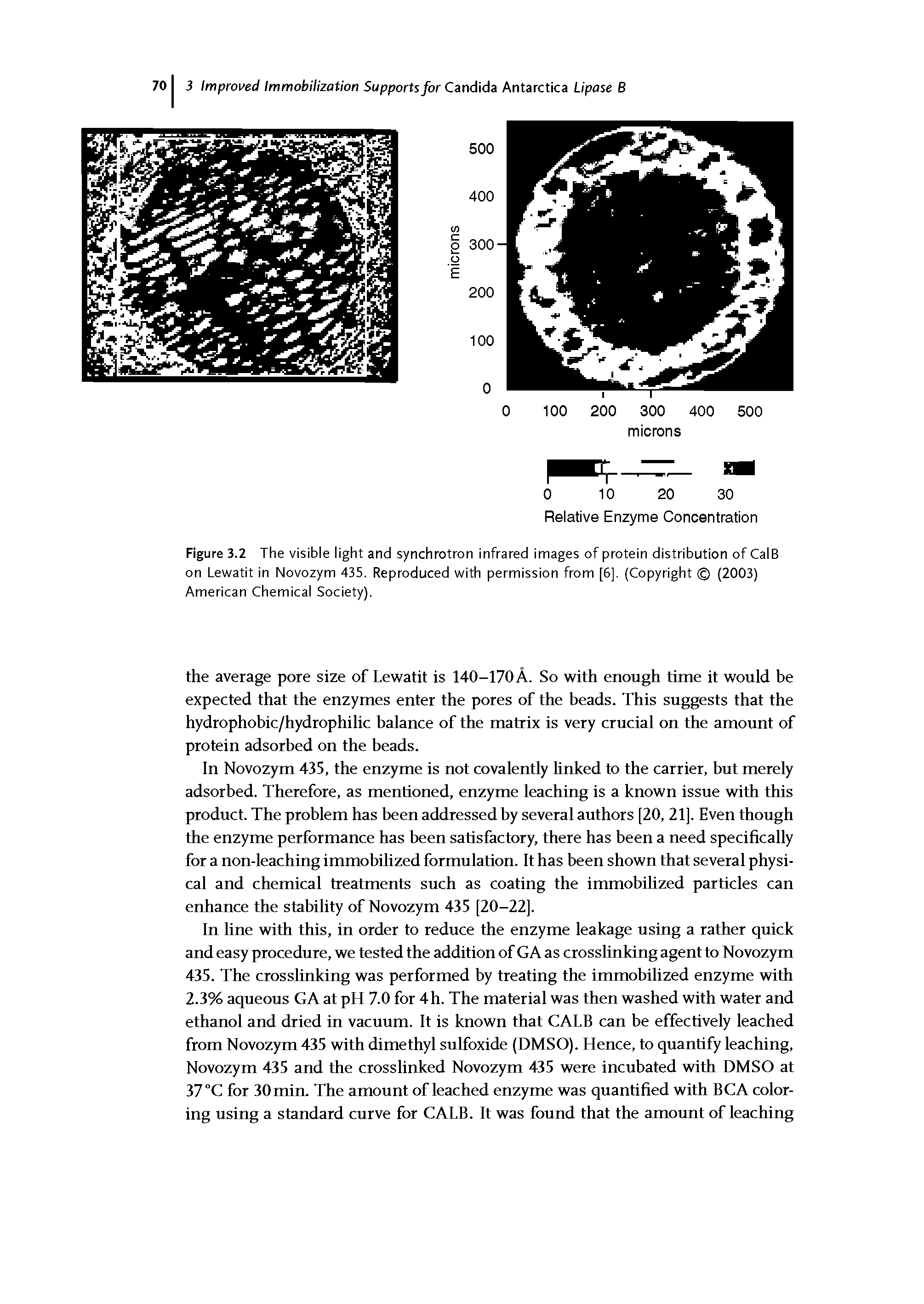 Figure 3.2 The visible light and synchrotron infrared images of protein distribution of CalB on Lewatit in Novozym 435. Reproduced with permission from [6], (Copyright (2003) American Chemical Society).