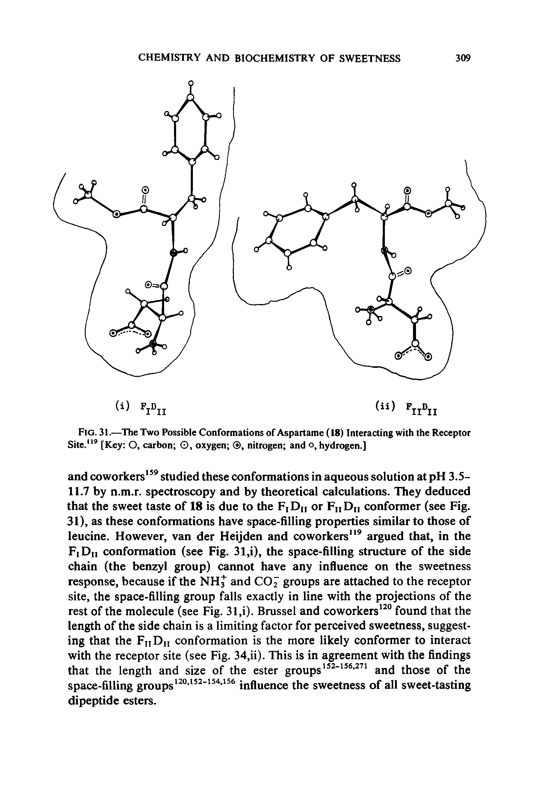 Fig. 31.— The Two Possible Conformations of Aspartame (18) Interacting with the Receptor Site." [Key O, carbon G, oxygen , nitrogen and o, hydrogen.]...