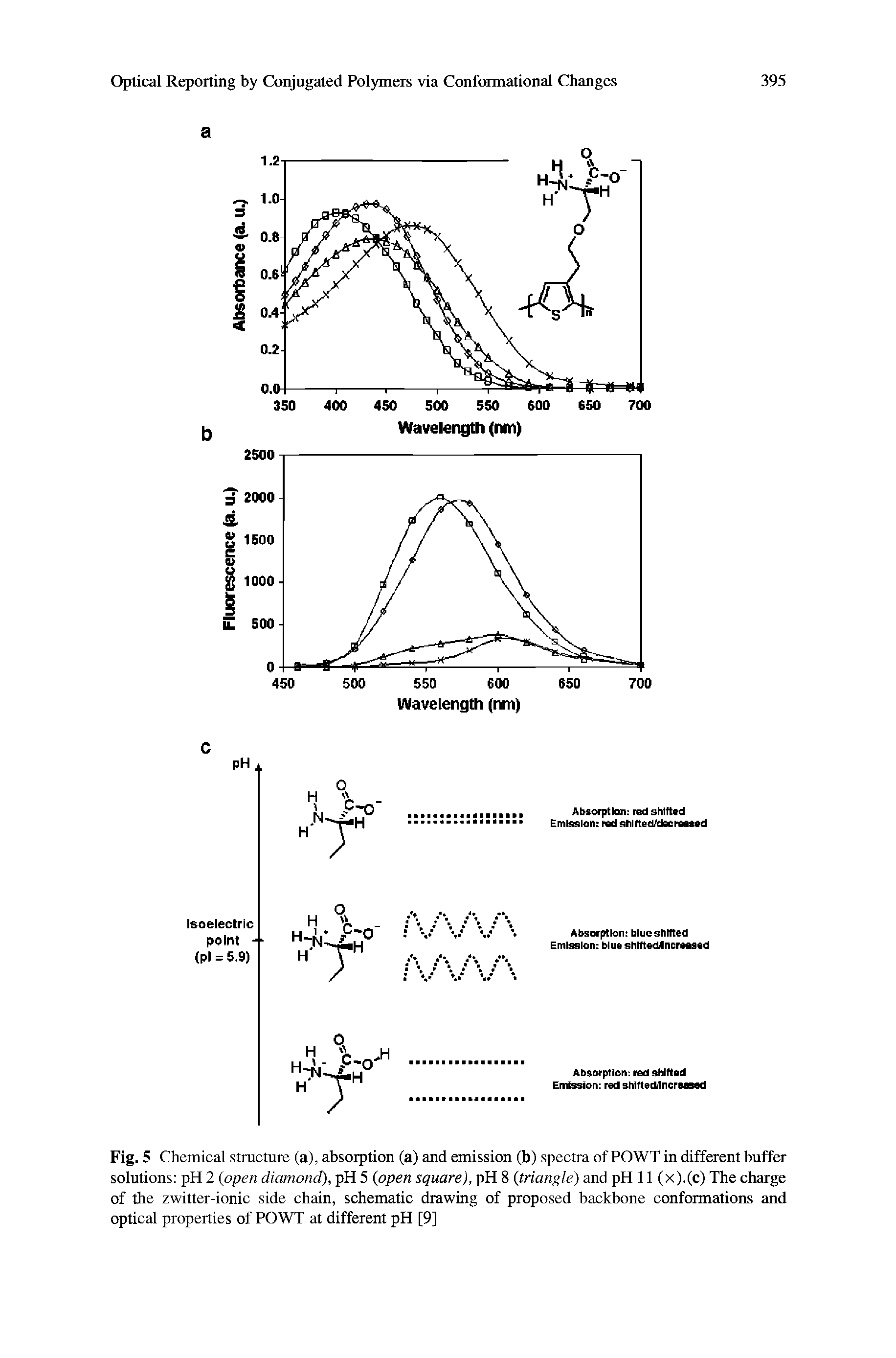 Fig. 5 Chemical structure (a), absorption (a) and emission (b) spectra of POWT in different buffer solutions pH 2 (open diamond), pH 5 (open square), pH 8 (triangle) and pH 11 (x).(c) The charge of the zwitter-ionic side chain, schematic drawing of proposed backbone conformations and optical properties of POWT at different pH [9]...