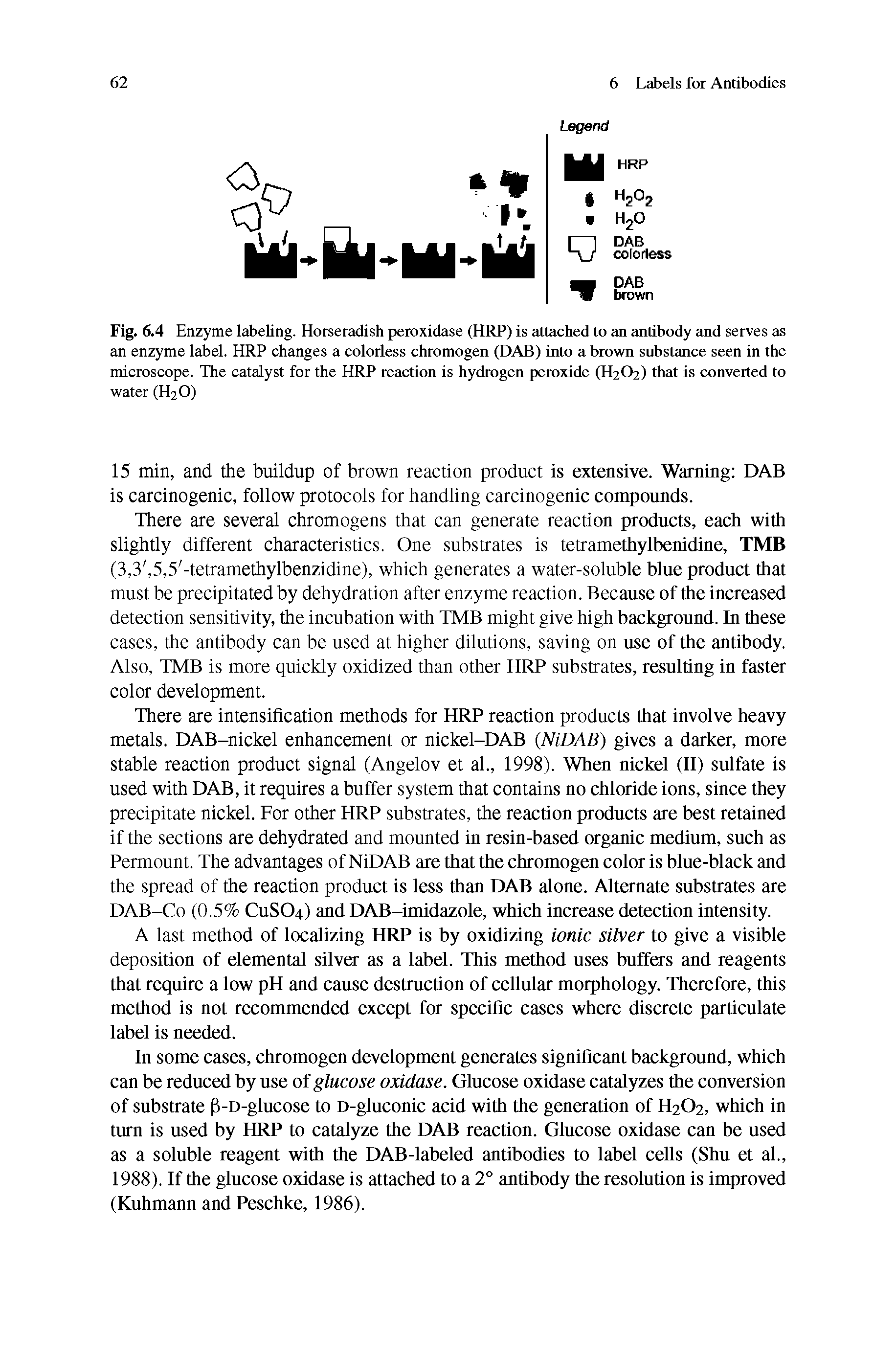 Fig. 6.4 Enzyme labeling. Horseradish peroxidase (HRP) is attached to an antibody and serves as an enzyme label. HRP changes a colorless chromogen (DAB) into a brown substance seen in the microscope. The catalyst for the HRP reaction is hydrogen peroxide (H2O2) that is converted to water (H2O)...