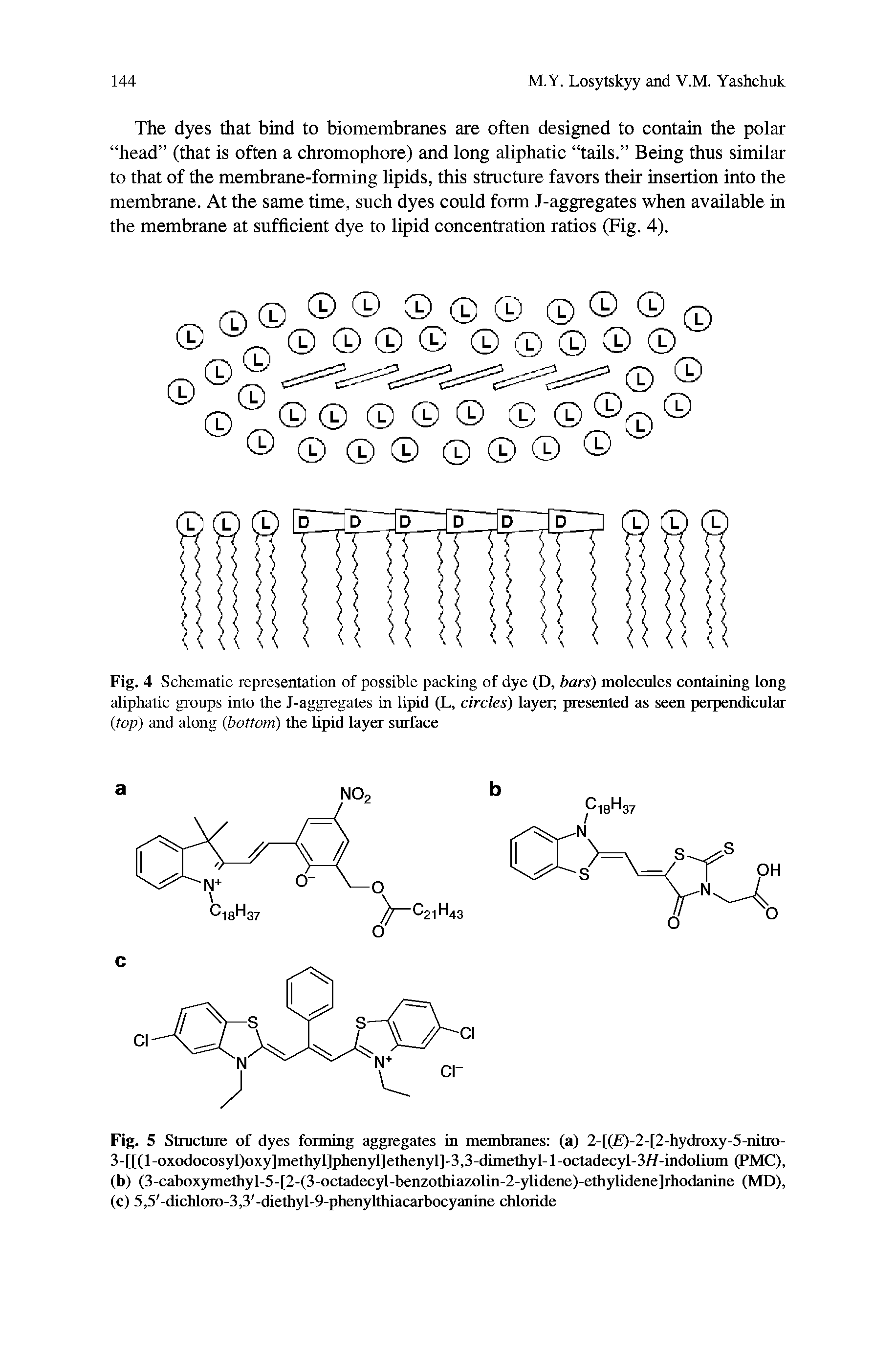 Fig. 5 Structure of dyes forming aggregates in membranes (a) 2-[( )-2-[2-hydroxy-5-nitro-3-ll(Toxodocosyl)oxy]methyl]phenyl]ethenyl]-3,3-dimethyl- l-octadecyl-3//-indolium (PMC),...