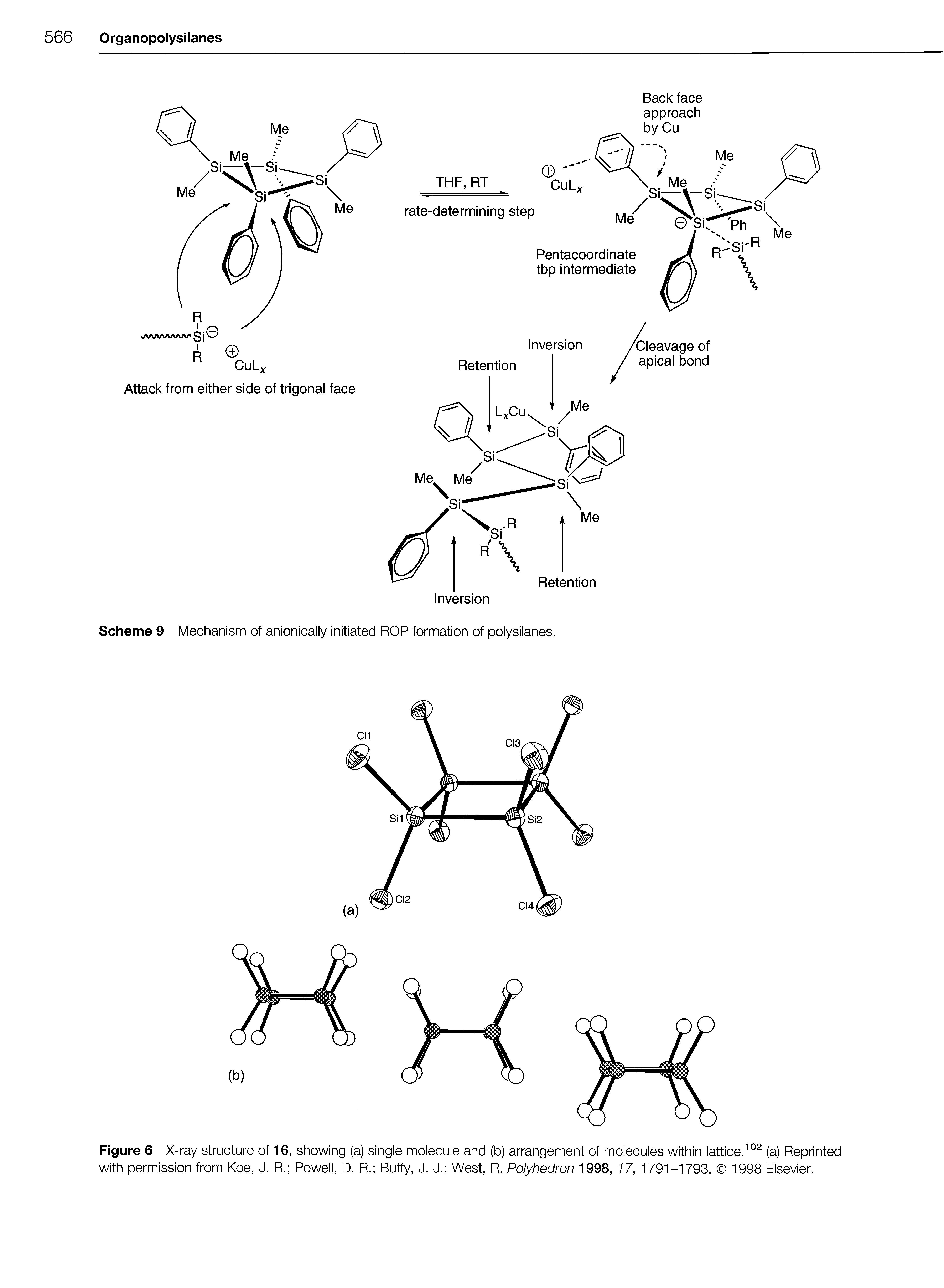 Scheme 9 Mechanism of anionically initiated ROP formation of polysilanes.
