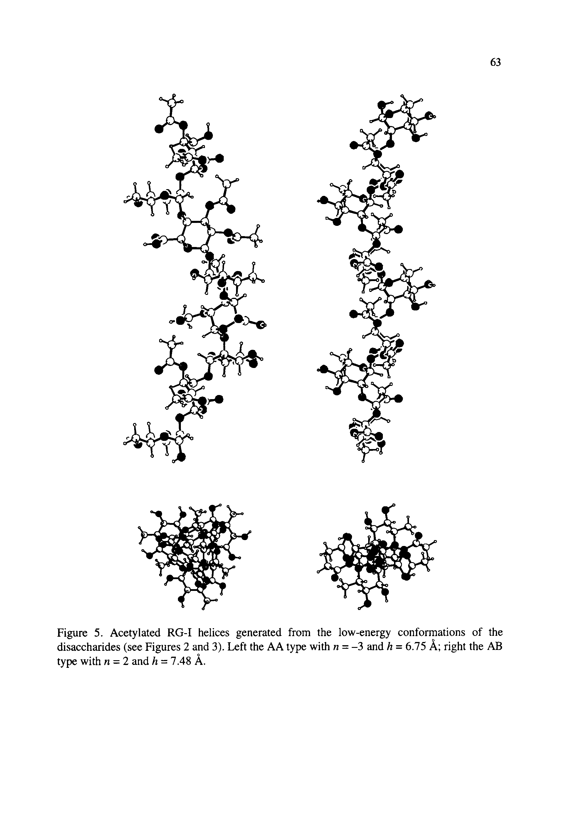 Figure 5. Acetylated RG-I helices generated from the low-energy conformations of the disaccharides (see Figures 2 and 3). Left the AA type with n = -3 and h = 6.75 A right the AB type with n = 2 and h = 7.48 A.