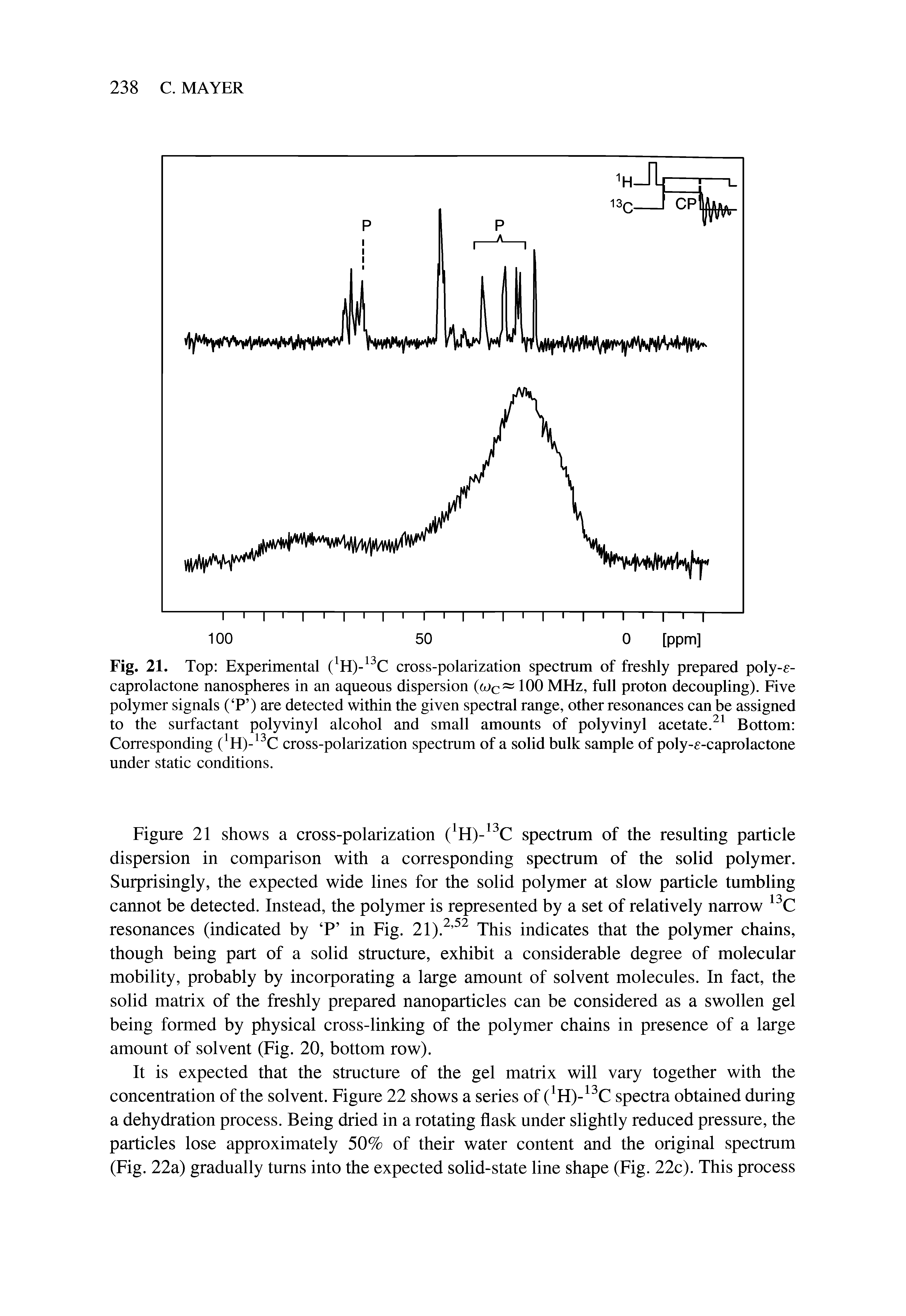 Fig. 21. Top Experimental ( H)- C cross-polarization spectrum of freshly prepared poly-e-caprolactone nanospheres in an aqueous dispersion (wc—100 MHz, full proton decoupling). Five polymer signals ( P ) are detected within the given spectral range, other resonances can be assigned to the surfactant polyvinyl alcohol and small amounts of polyvinyl acetate. Bottom Corresponding ( H)- C cross-polarization spectrum of a solid bulk sample of poly-f-caprolactone under static conditions.