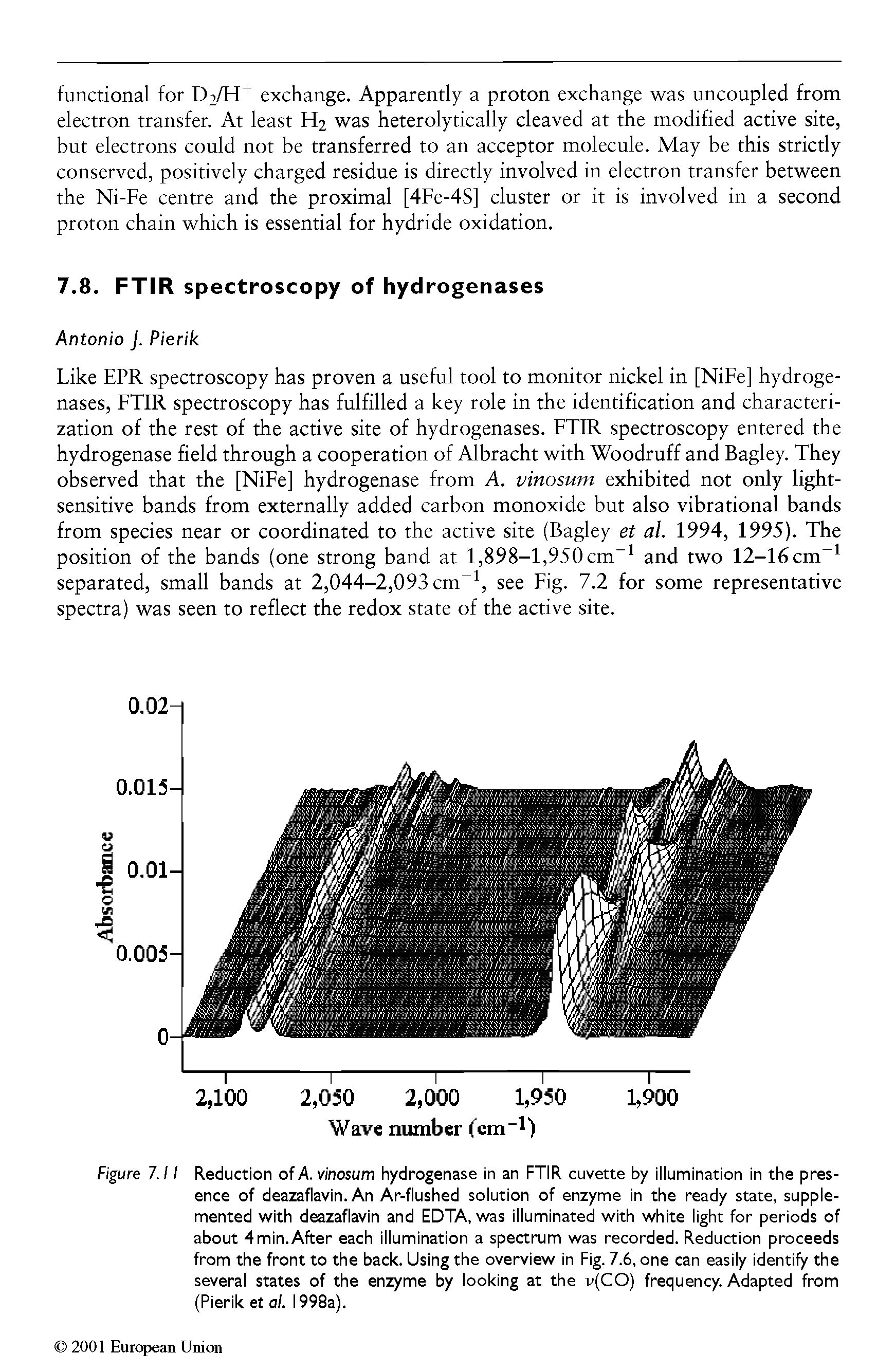 Figure 1.11 Reduction of A. vinosum hydrogenase in an FTIR cuvette by illumination in the presence of deazaflavin. An Ar-flushed solution of enzyme in the ready state, supplemented with deazaflavin and EDTA, was illuminated with white light for periods of about 4 min. After each illumination a spectrum was recorded. Reduction proceeds from the front to the back. Using the overview in Fig. 7.6, one can easily identify the several states of the enzyme by looking at the v(CO) frequency. Adapted from (Pierik et al. 1998a).