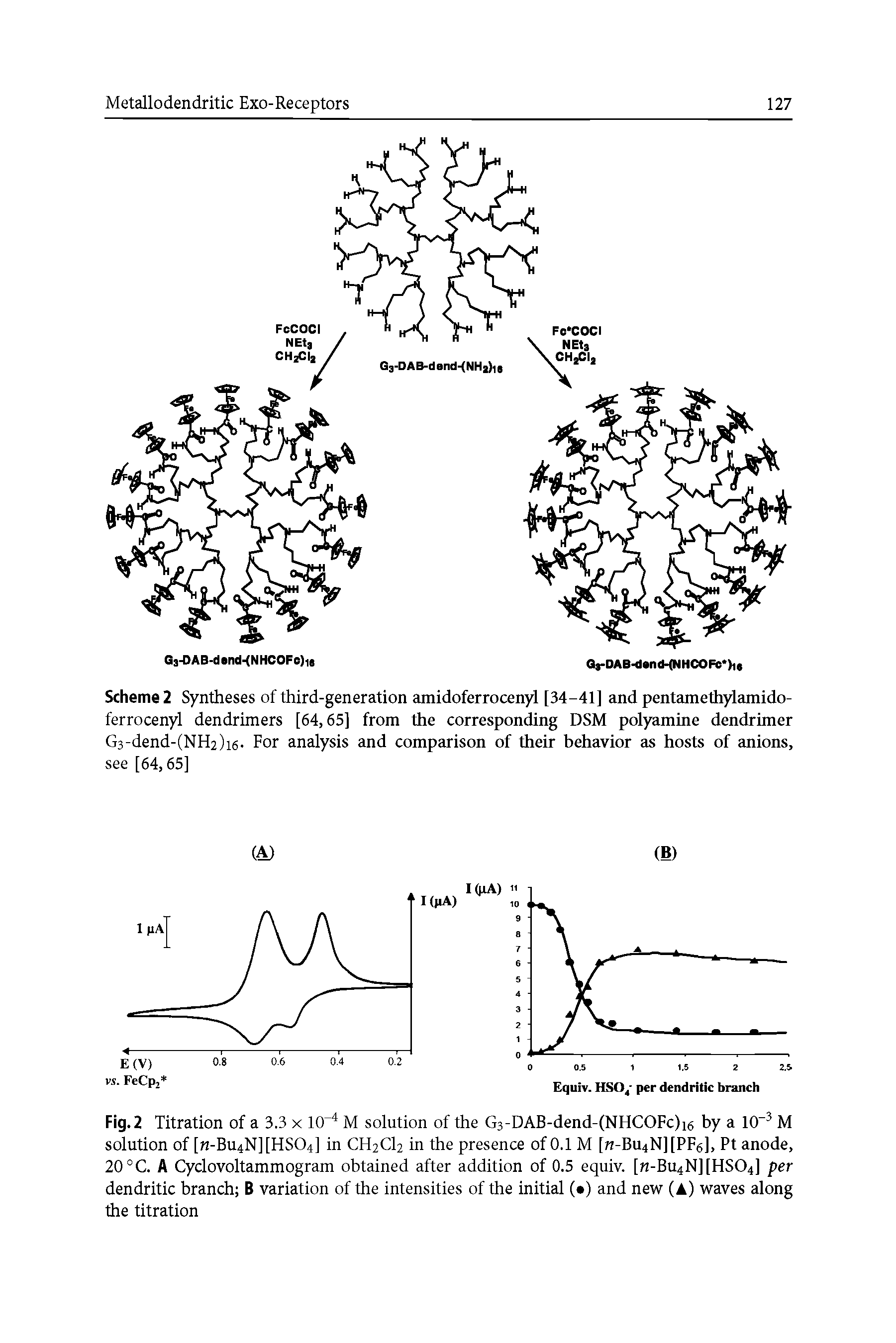 Scheme 2 Syntheses of third-generation amidoferrocenyl [34-41] and pentamethylamido-ferrocenyl dendrimers [64,65] from the corresponding DSM polyamine dendrimer G3-dend-(NH2)i6- For analysis and comparison of their behavior as hosts of anions, see [64,65]...