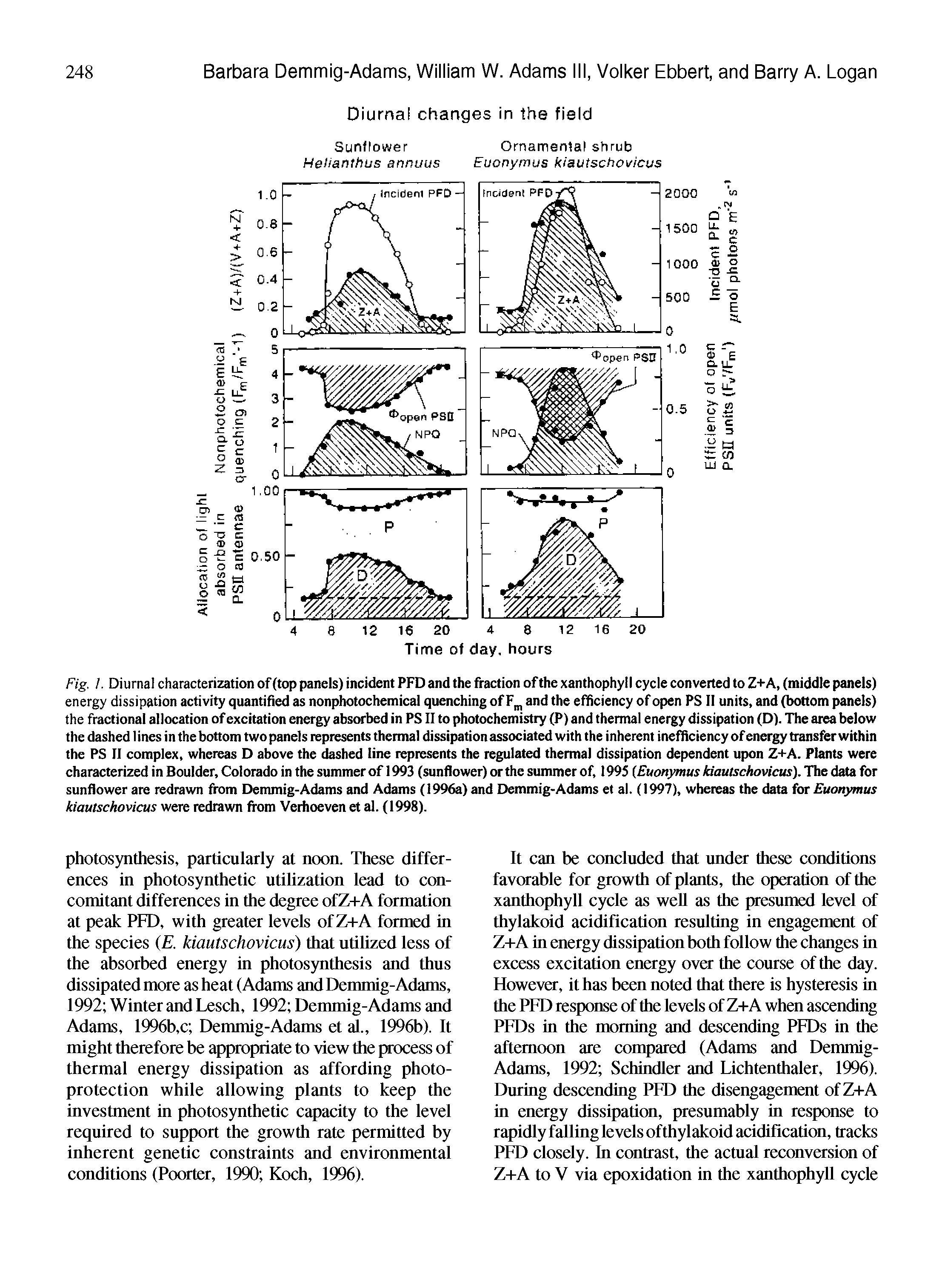 Fig. /.Diurnal characterization of (top panels) incident PFD and the fraction of the xanthophyl I cycle converted to Z+A, (middle panels) energy dissipation activity quantified as nonphotochemical quenching of F , and the efficiency of open PS II units, and (bottom panels) the fractional allocation of excitation energy absorbed in PS II to photochemistry (P) and thermal energy dissipation (D). The area below the dashed I ines in the bottom two panels represents thermal dissipation associated with the inherent inefficiency of energy transfer within the PS II complex, whereas D above the dashed line represents the regulated thermal dissipation dependent upon Z+A. Plants were characterized in Boulder, Colorado in the summer of 1993 (sunflower) or the summer of, 1995 (Euonymus kiautschovicus). The data for sunflower are redrawn from Demmig-Adams and Adams (1996a) and Demmig-Adams et al. (1997), whereas the data for Euonymus kiautschovicus were redrawn from Verhoeven et al. (1998).