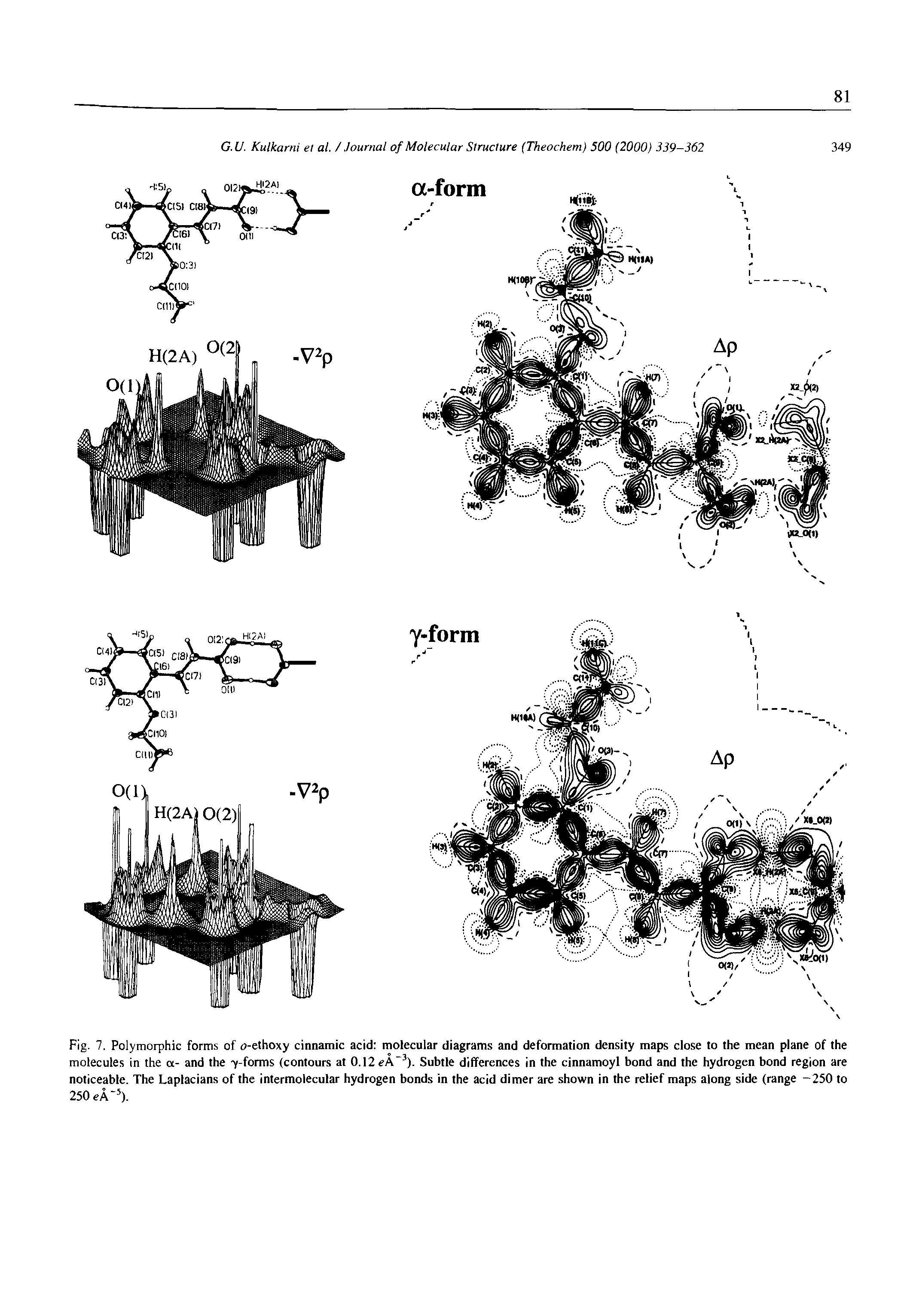 Fig. 7. Polymorphic forms of o-ethoxy cinnamic acid molecular diagrams and deformation density maps close to the mean plane of the molecules in the a- and the y terms (contours at 0.12 eA 3). Subtle differences in the cinnamoyl bond and the hydrogen bond region are noticeable. The Laplacians of the intermolecular hydrogen bonds in the acid dimer are shown in the relief maps along side (range -250 to 250 eA 5).