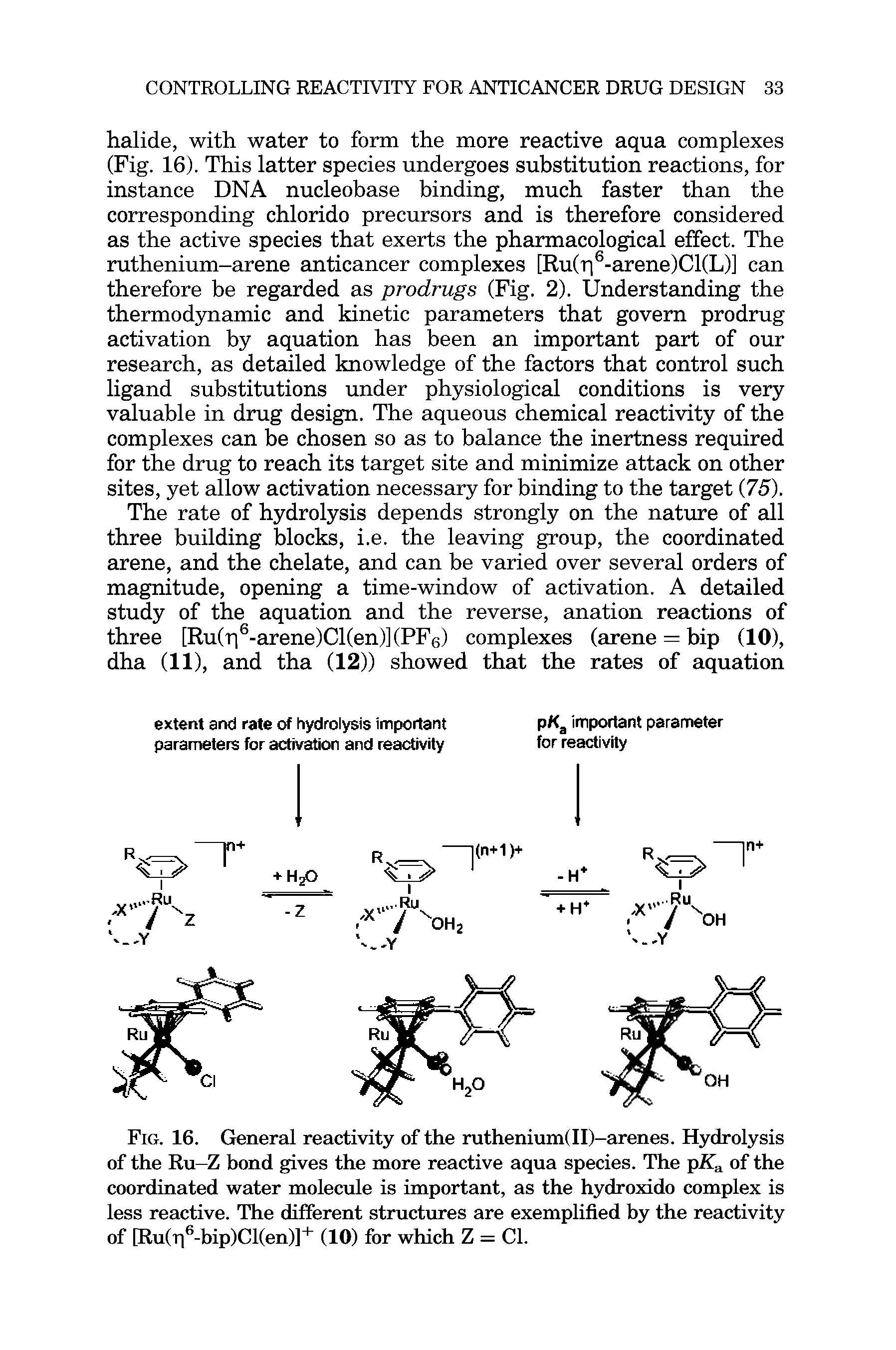 Fig. 16. General reactivity of the ruthenium(II)-arenes. Hydrolysis of the Ru—Z bond gives the more reactive aqua species. The pKa of the coordinated water molecule is important, as the hydroxido complex is less reactive. The different structures are exemplified by the reactivity of [Ru(ri6-bip)Cl(en)]+ (10) for which Z = Cl.