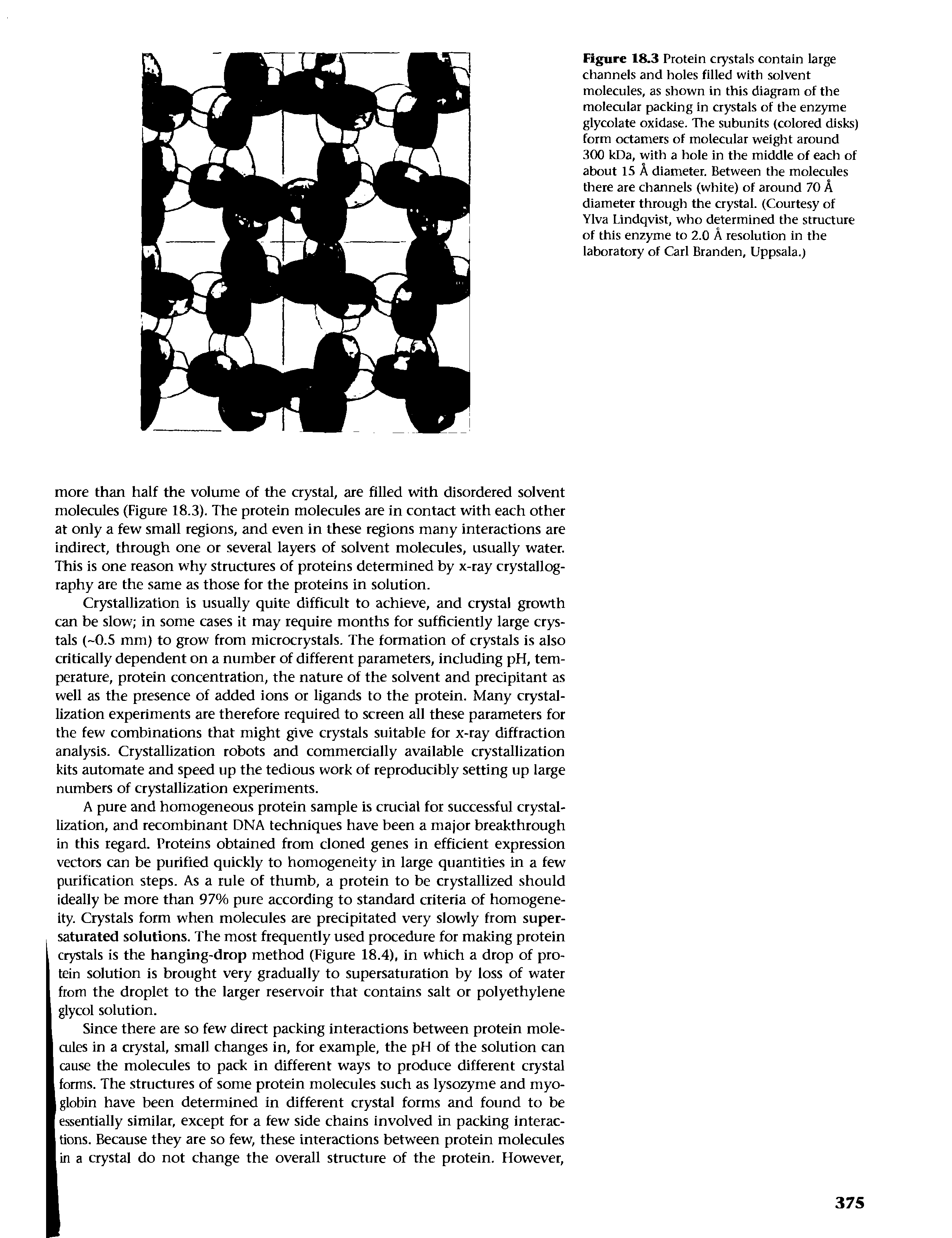 Figure 18.3 Protein crystals contain large channels and holes filled with solvent molecules, as shown in this diagram of the molecular packing in crystals of the enzyme glycolate oxidase. The subunits (colored disks) form octamers of molecular weight around 300 kDa, with a hole in the middle of each of about 15 A diameter. Between the molecules there are channels (white) of around 70 A diameter through the crystal. (Courtesy of Ylva Lindqvist, who determined the structure of this enzyme to 2.0 A resolution in the laboratory of Carl Branden, Uppsala.)...