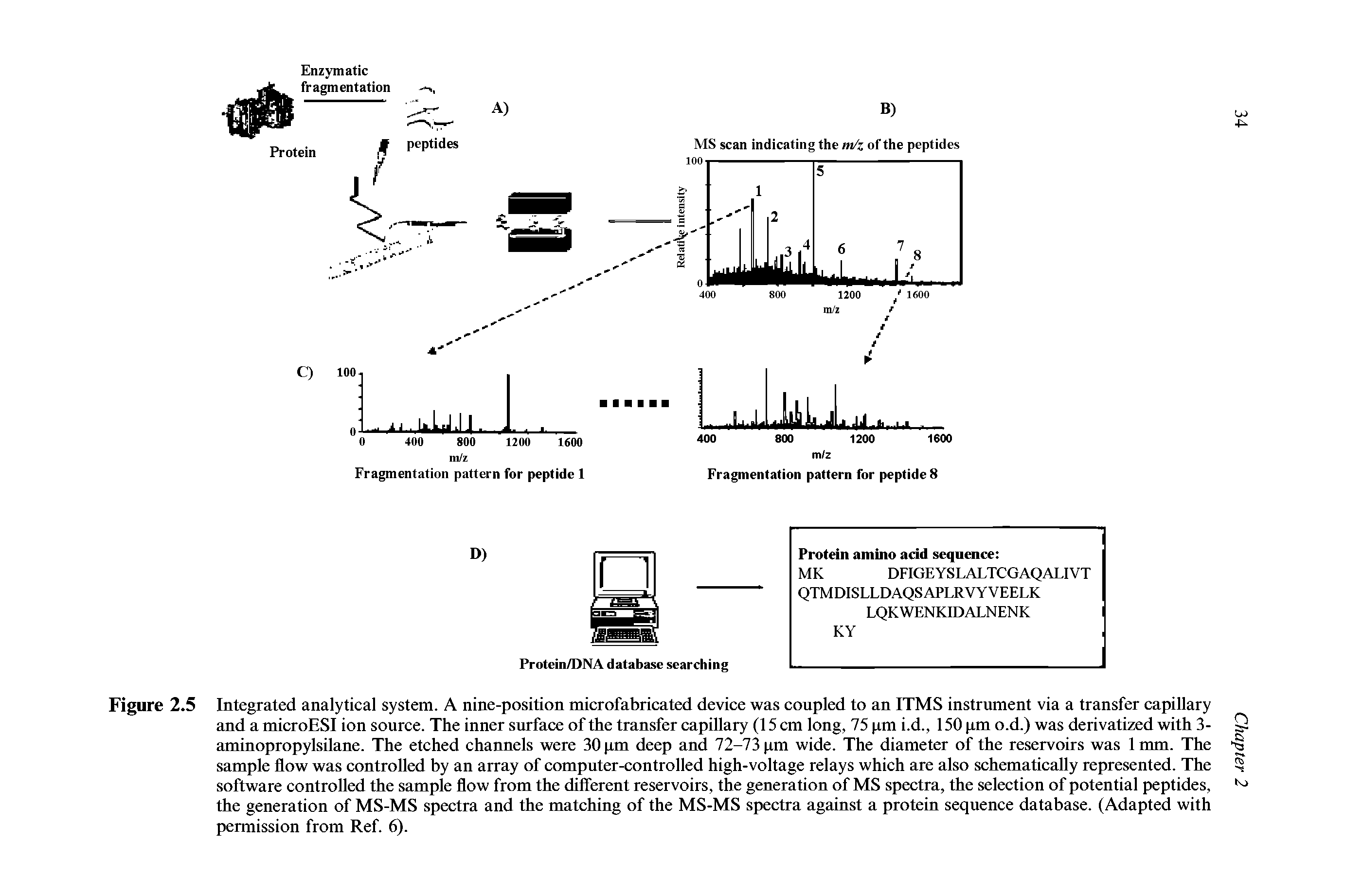 Figure 2.5 Integrated analytical system. A nine-position microfabricated device was coupled to an ITMS instrument via a transfer capillary and a microESI ion source. The inner surface of the transfer capillary (15 cm long, 75 pm i.d., 150 pm o.d.) was derivatized with 3-aminopropylsilane. The etched channels were 30 pm deep and 72-73 pm wide. The diameter of the reservoirs was 1mm. The sample flow was controlled by an array of computer-controlled high-voltage relays which are also schematically represented. The software controlled the sample flow from the different reservoirs, the generation of MS spectra, the selection of potential peptides, the generation of MS-MS spectra and the matching of the MS-MS spectra against a protein sequence database. (Adapted with permission from Ref. 6).