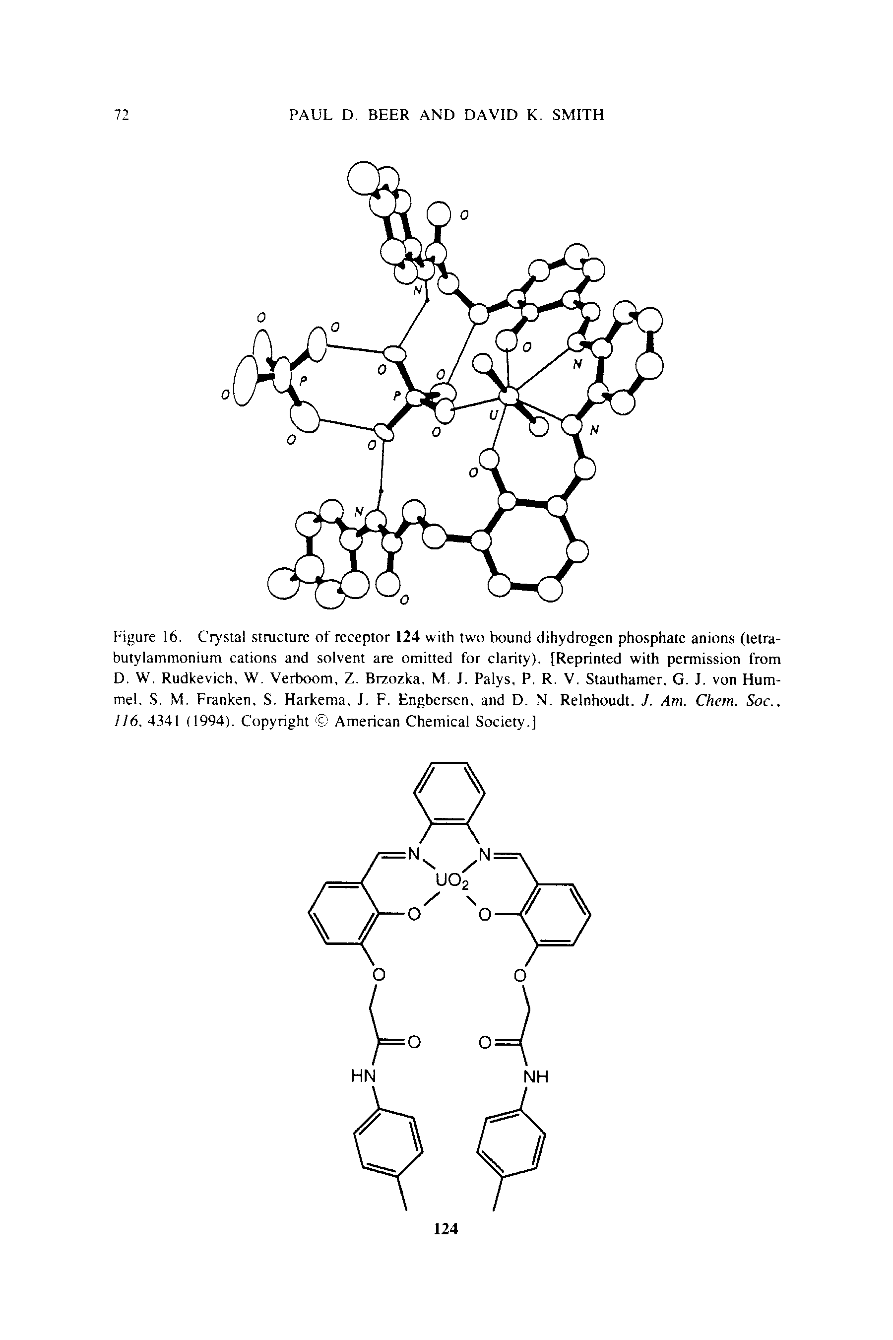 Figure 16. Crystal structure of receptor 124 with two bound dihydrogen phosphate anions (tetra-butylammonium cations and solvent are omitted for clarity). [Reprinted with permission from D. W. Rudkevich, W. Verboom, Z. Brzozka, M. J. Palys, P. R. V. Stauthamer, G. J. von Hummel. S. M. Franken. S. Harkema, J. F. Engbersen. and D. N. Relnhoudt. J. Am. Chem. Soc., 116. 4341 (1994). Copyright American Chemical Society.]...