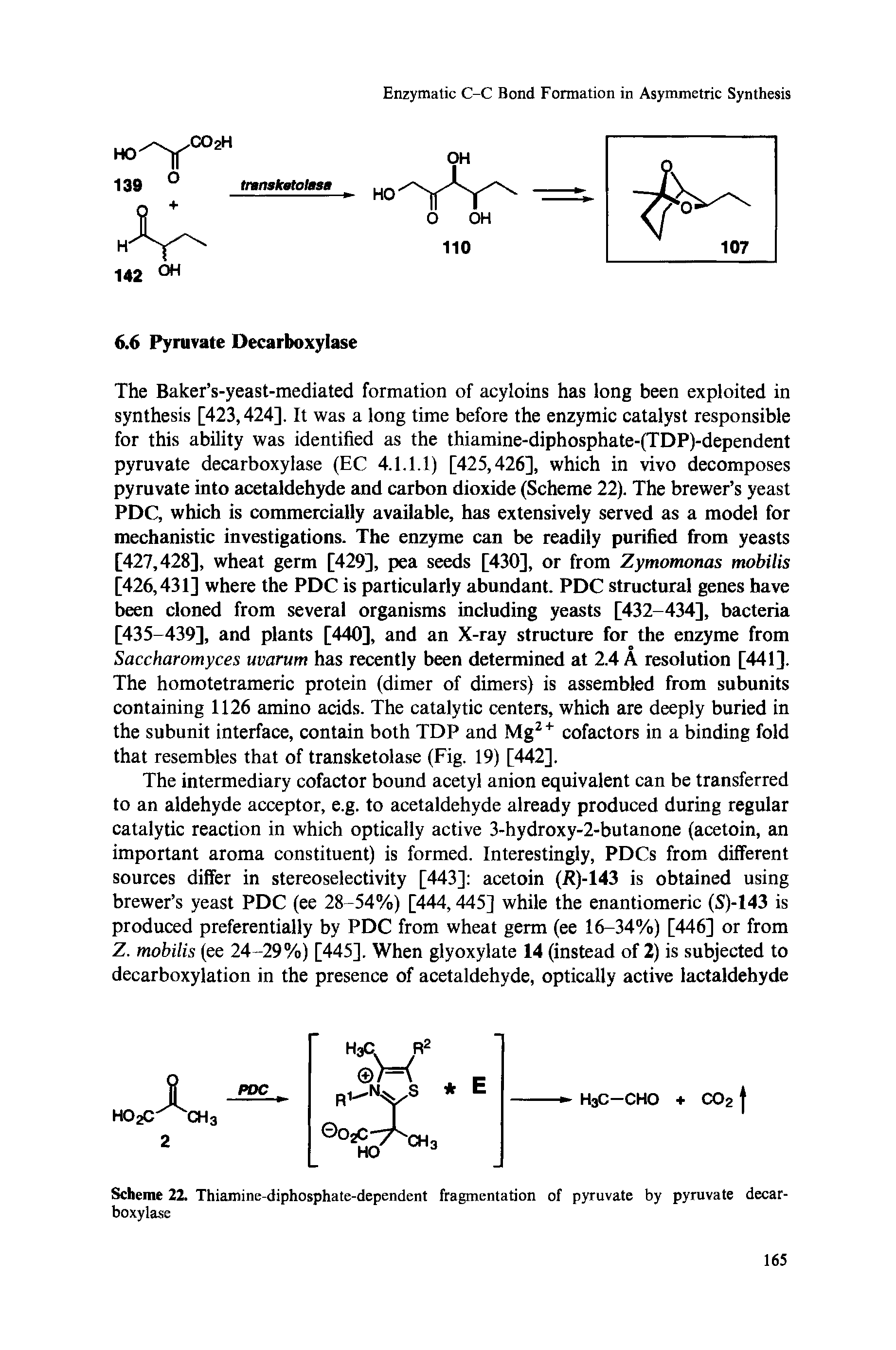 Scheme 22. Thiamine-diphosphate-dependent fragmentation of pyruvate by pyruvate decarboxylase...