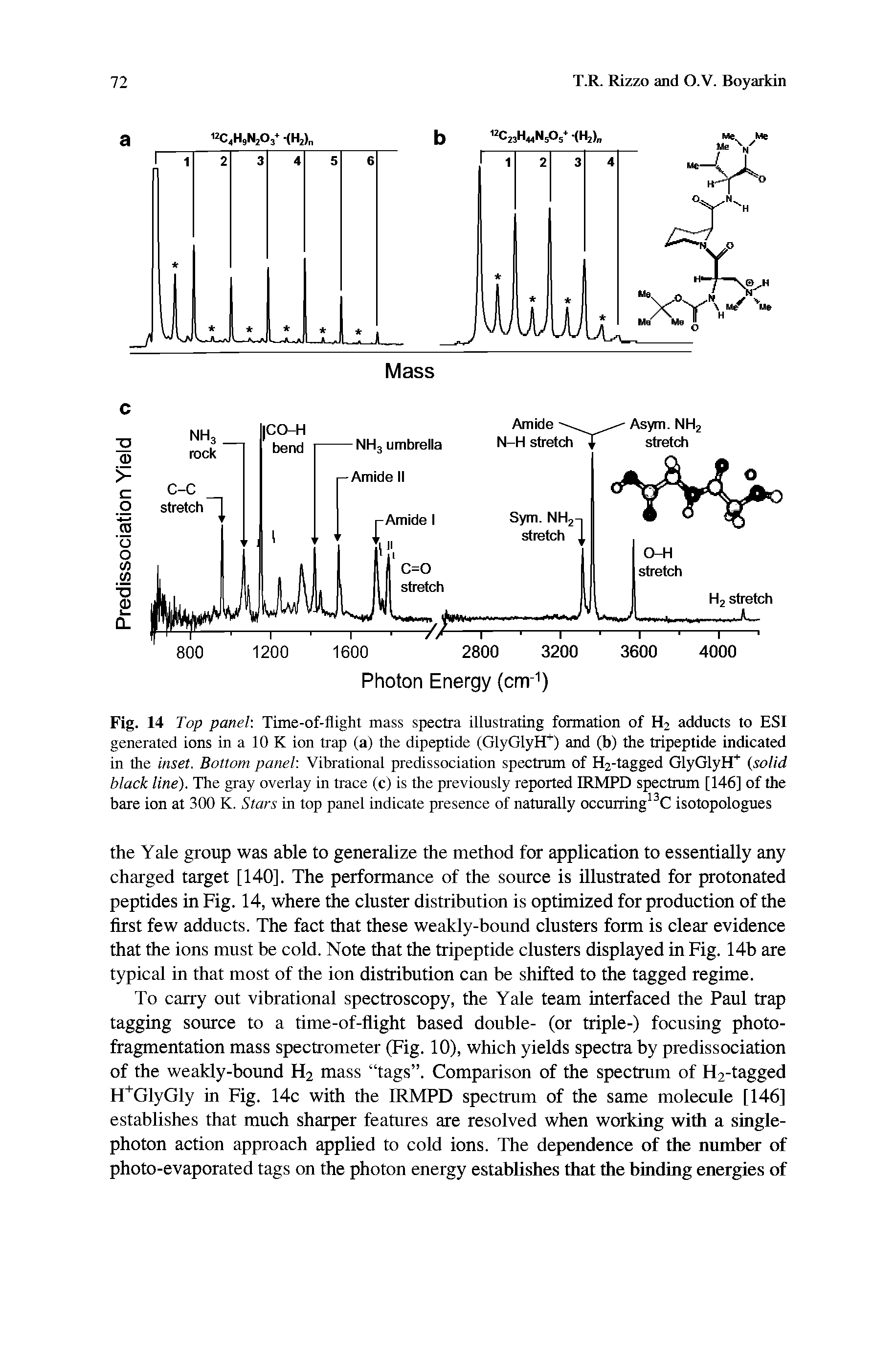Fig. 14 Top panel. Time-of-flight mass spectra illustrating formation of H2 adducts to ESI generated ions in a 10 K ion trap (a) the dipeptide (GlyGlyH ) and (b) the tripeptide indicated in the inset. Bottom panel. Vibrational predissociation spectrum of H2-tagged GlyGlyH (solid black line). The gray overlay in trace (c) is the previously reported IRMPD spectrum [146] of the bare ion at 300 K. Stars in top panel indicate presence of naturally occurring C isotopologues...