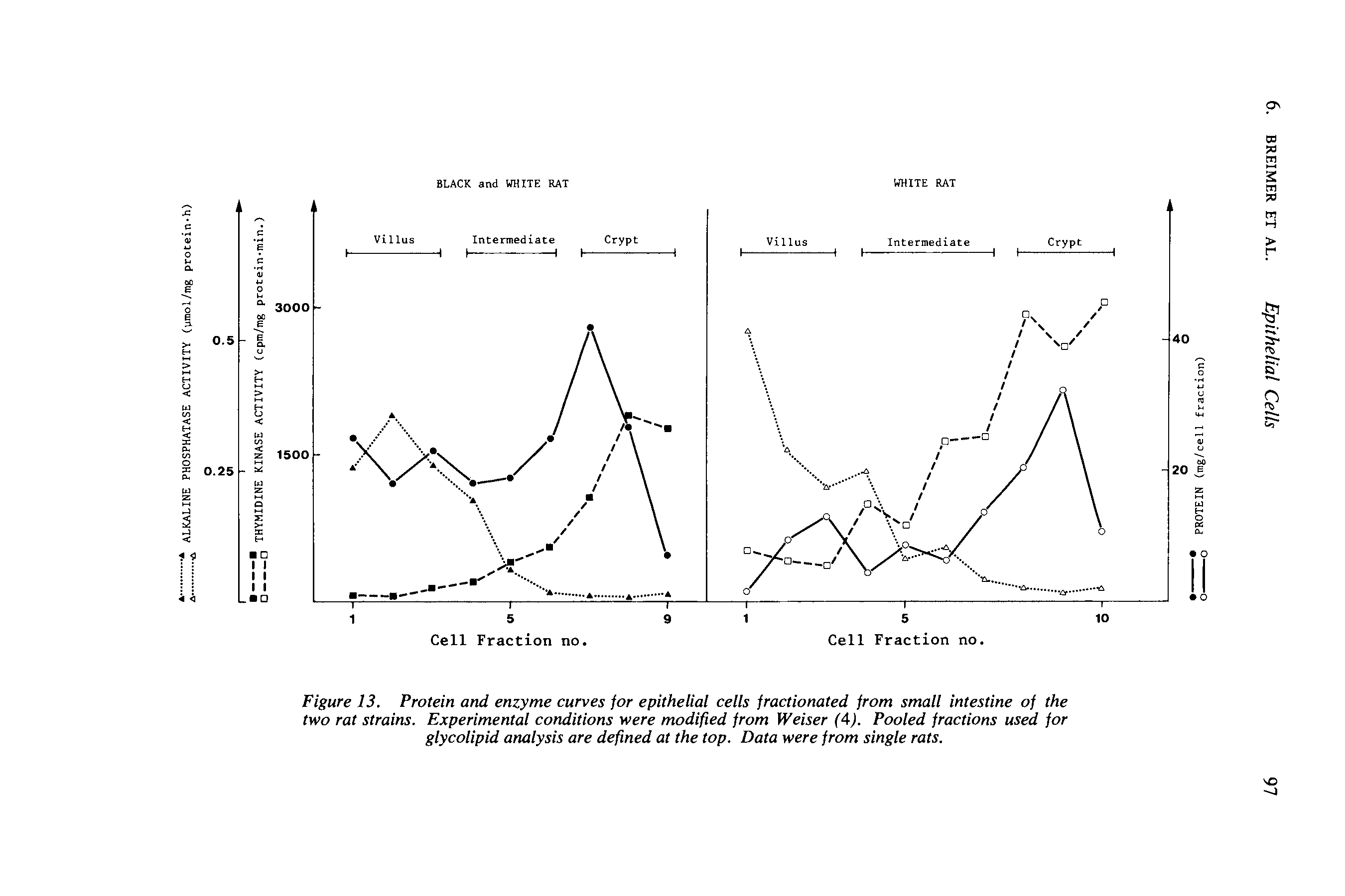 Figure 13. Protein and enzyme curves for epithelial cells fractionated from small intestine of the two rat strains. Experimental conditions were modified from Weiser (4). Pooled fractions used for glycolipid analysis are defined at the top. Data were from single rats.