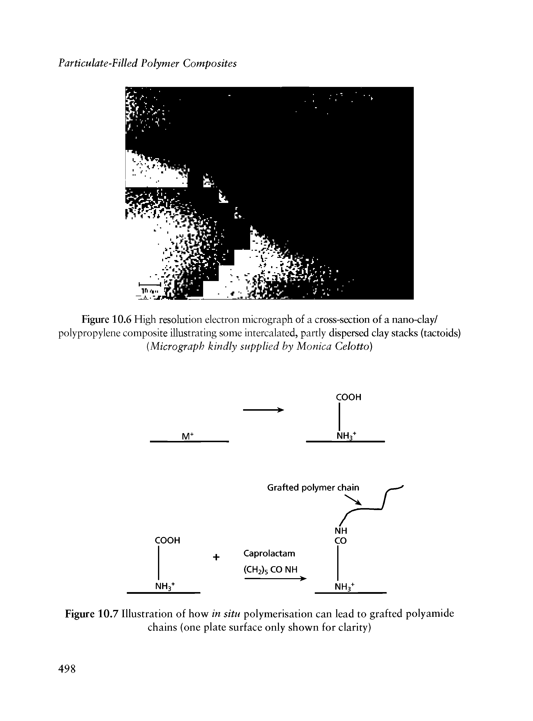 Figure 10.7 Illustration of how in situ polymerisation can lead to grafted polyamide chains (one plate surface only shown for clarity)...