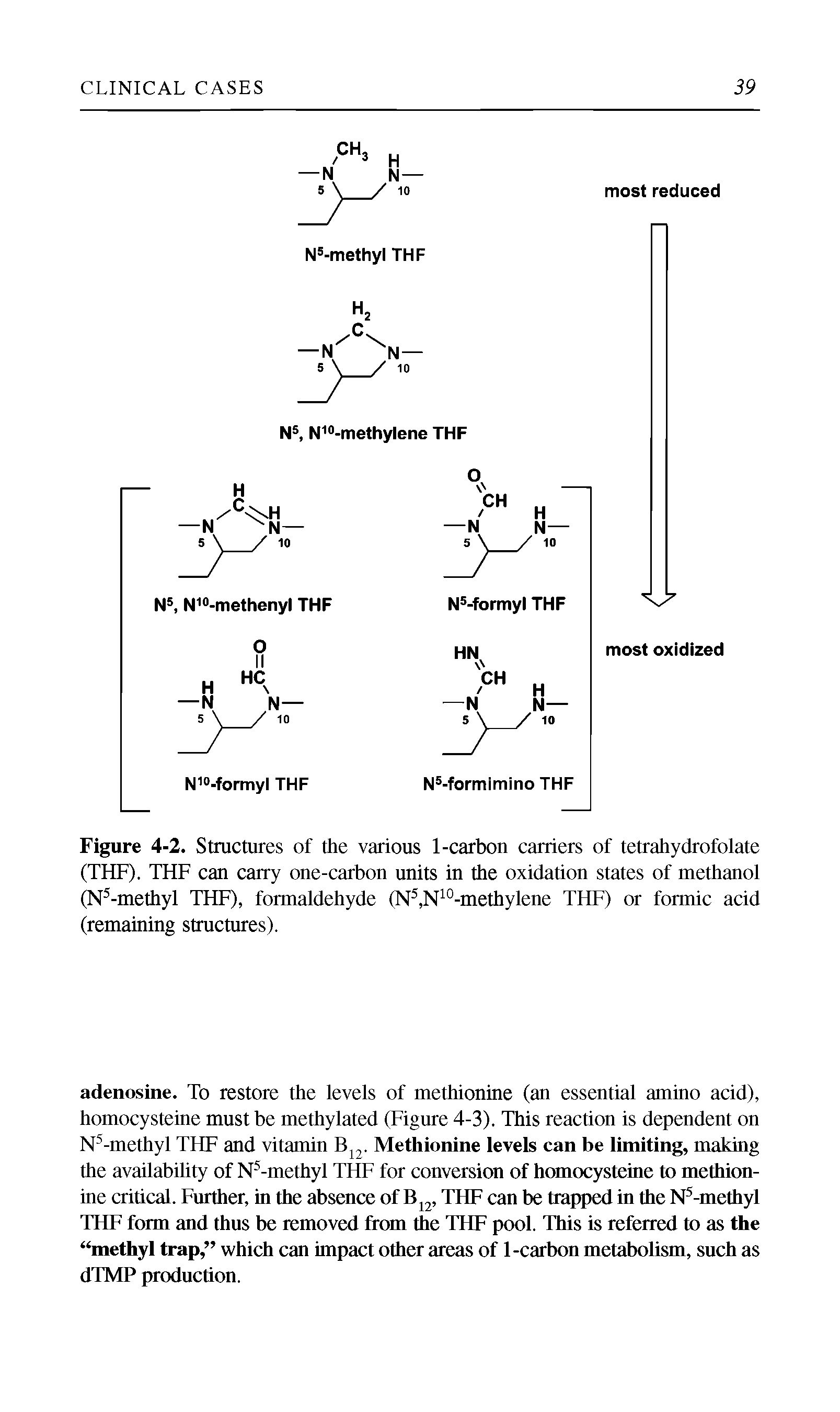 Figure 4-2. Structures of the various 1-carbon carriers of tetrahydrofolate (THF). THF can carry one-carbon units in the oxidation states of methanol (N -methyl THF), formaldehyde (N, N °-methylene THF) or formic acid (remaining structures).