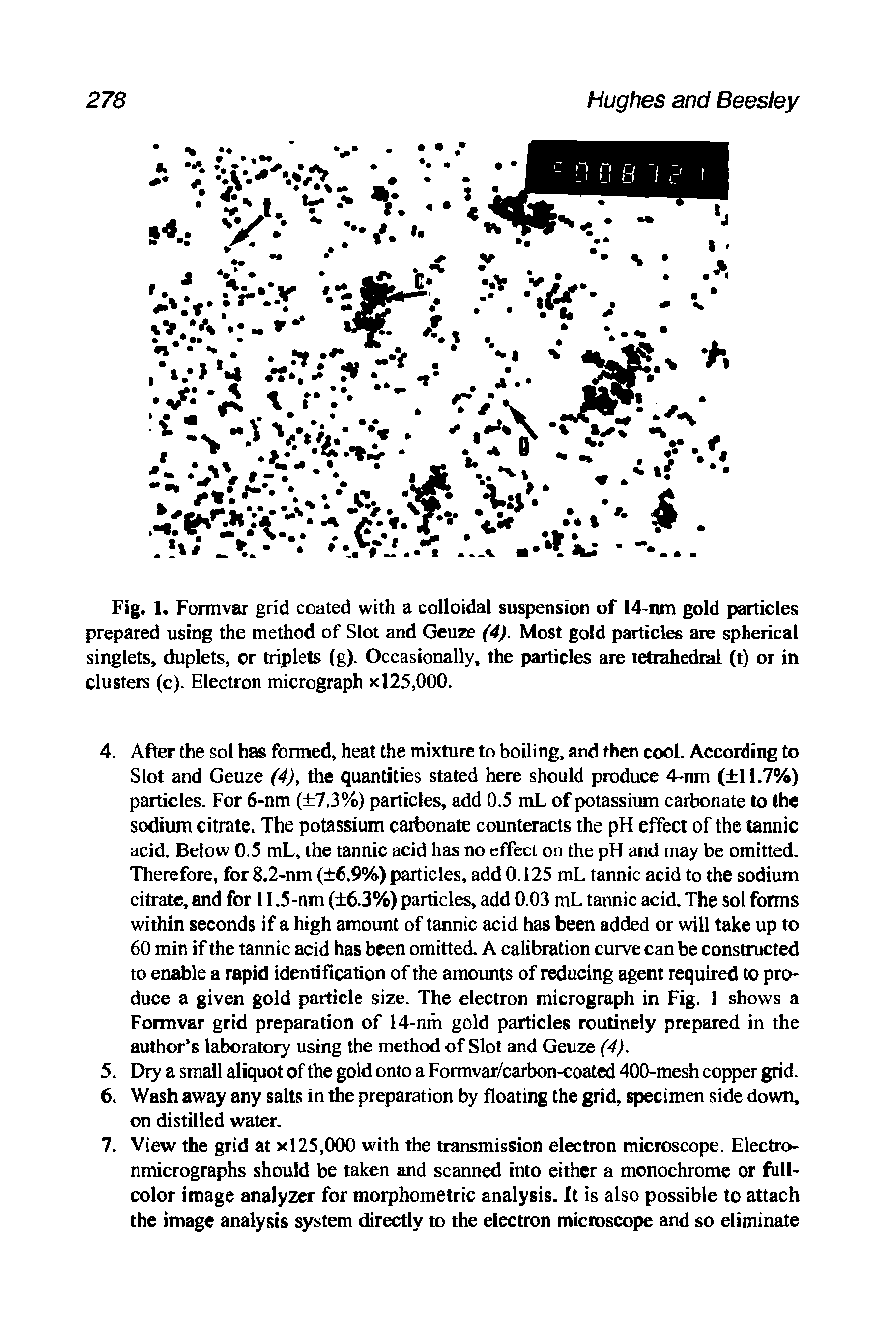 Fig. 1. Formvar grid coated with a colloidal suspension of 14-nm gold particles prepared using the method of Slot and Geuze (4). Most gold particles are spherical singlets, duplets, or triplets (g). Occasionally, the particles are tetrahedral (t) or in clusters (c). Electron micrograph ><125,000.