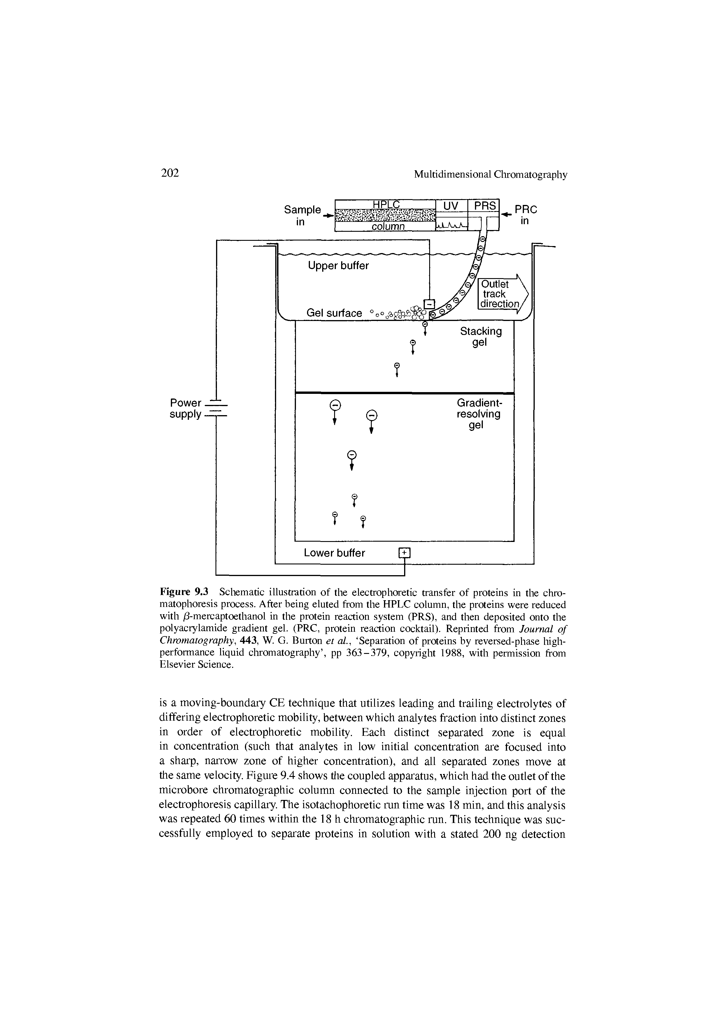 Figure 9.3 Schematic illustration of the electrophoretic transfer of proteins in the chromatophoresis process. After being eluted from the HPLC column, the proteins were reduced with /3-mercaptoethanol in the protein reaction system (PRS), and then deposited onto the polyacrylamide gradient gel. (PRC, protein reaction cocktail). Reprinted from Journal of Chromatography, 443, W. G. Button et al., Separation of proteins by reversed-phase Mgh-performance liquid cliromatography , pp 363-379, copyright 1988, with permission from Elsevier Science.