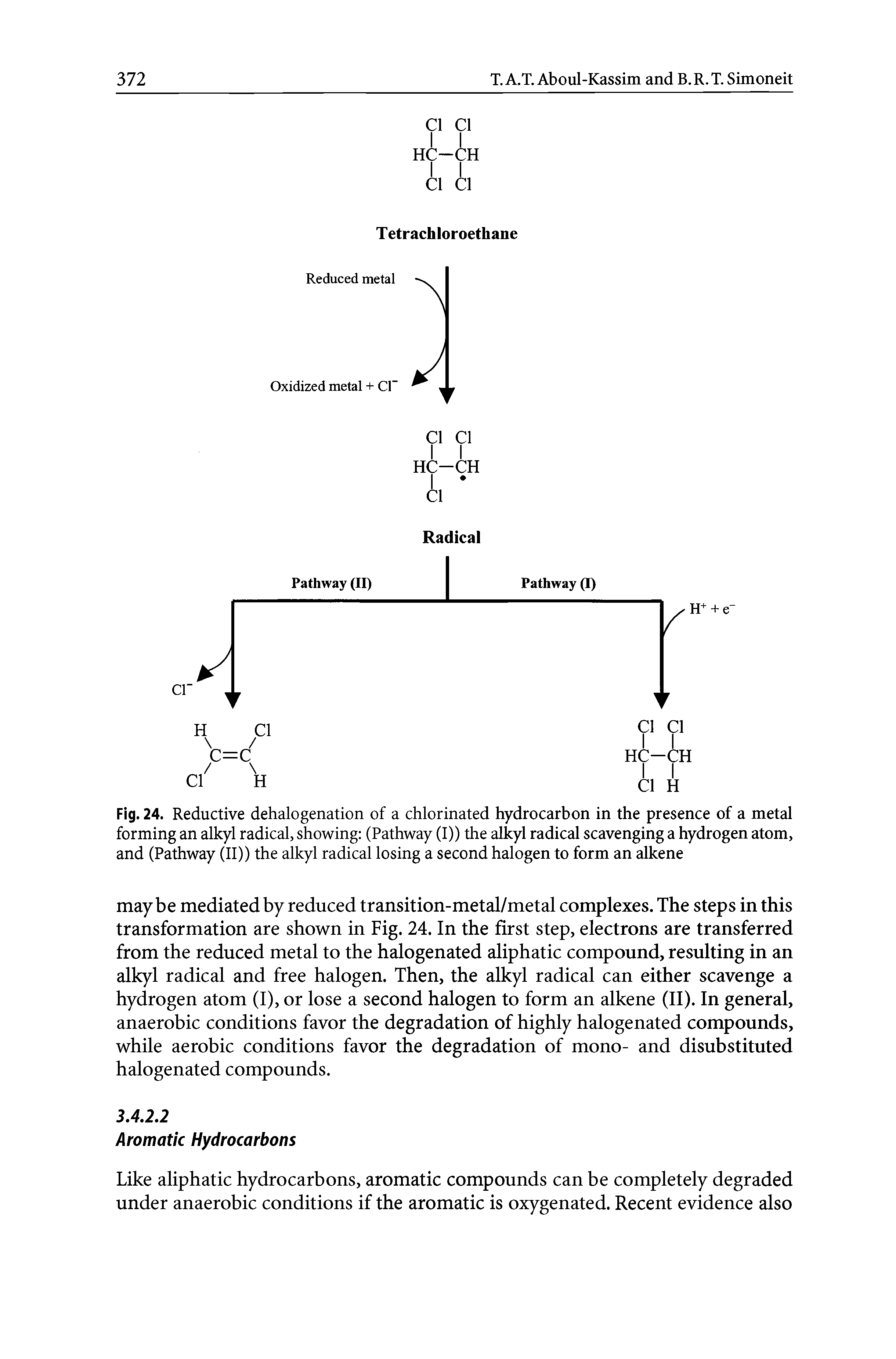 Fig. 24. Reductive dehalogenation of a chlorinated hydrocarbon in the presence of a metal forming an alkyl radical, showing (Pathway (I)) the alkyl radical scavenging a hydrogen atom, and (Pathway (II)) the alkyl radical losing a second halogen to form an alkene...