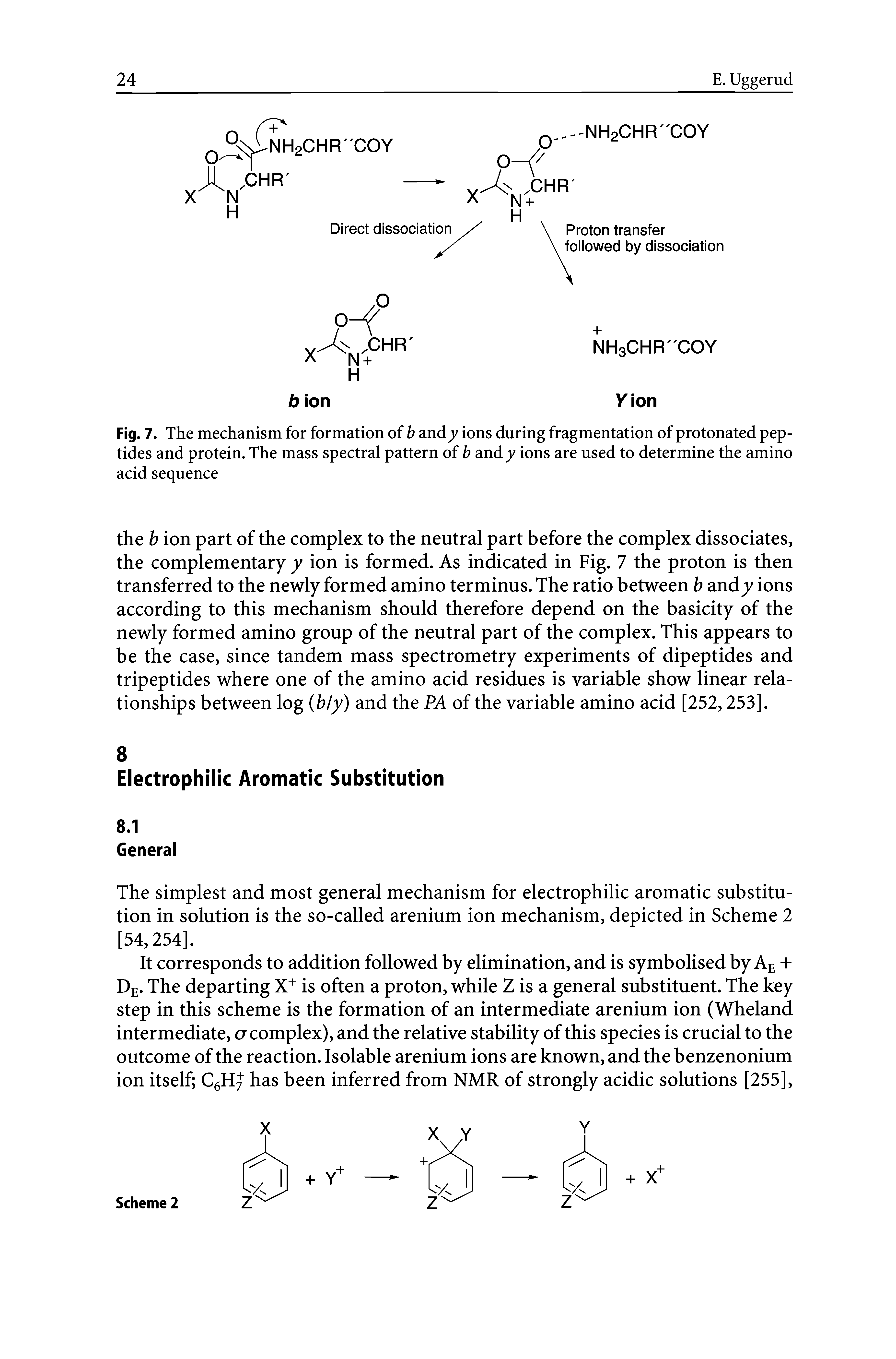 Fig. 7. The mechanism for formation of b andy ions during fragmentation of protonated peptides and protein. The mass spectral pattern of b and y ions are used to determine the amino acid sequence...