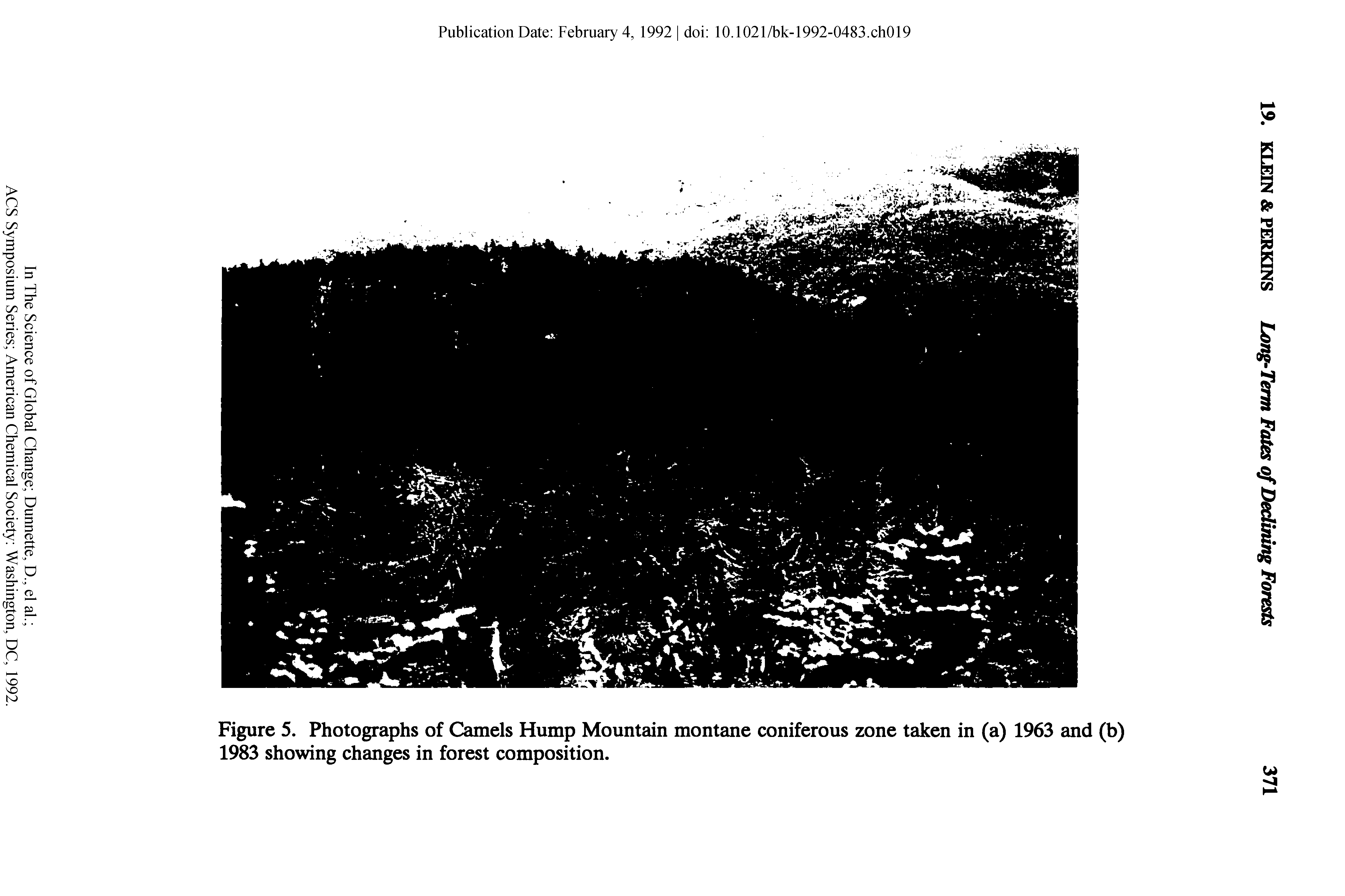 Figure 5. Photographs of Camels Hump Mountain montane coniferous zone taken in (a) 1963 and (b) 1983 showing changes in forest composition.