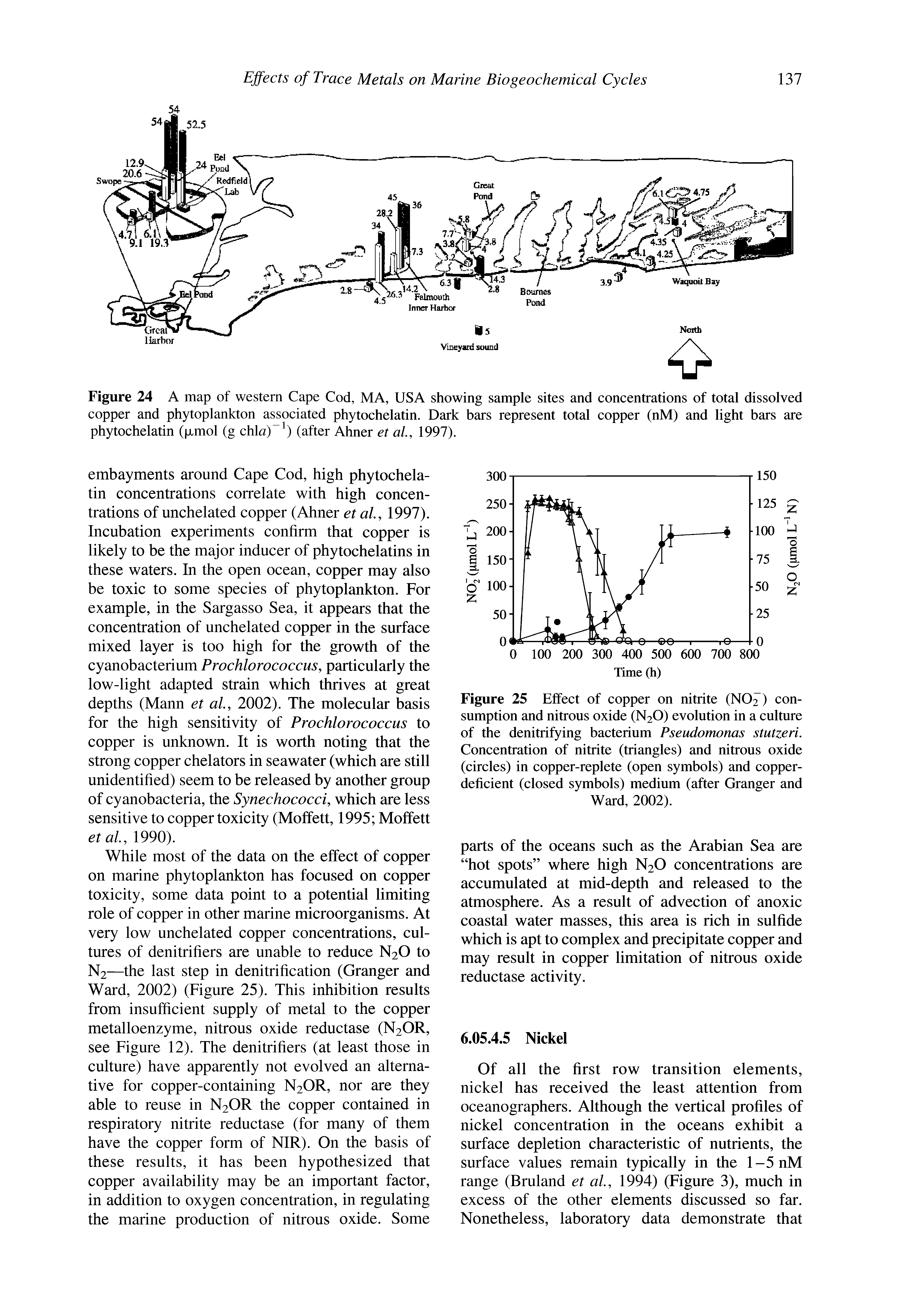 Figure 25 Effect of copper on nitrite (NO2) consumption and nitrous oxide (N2O) evolution in a culture of the denitrifying bacterium Pseudomonas stutzeri. Concentration of nitrite (triangles) and nitrous oxide (circles) in copper-replete (open symbols) and copper-deficient (closed symbols) medium (after Granger and Ward, 2002).