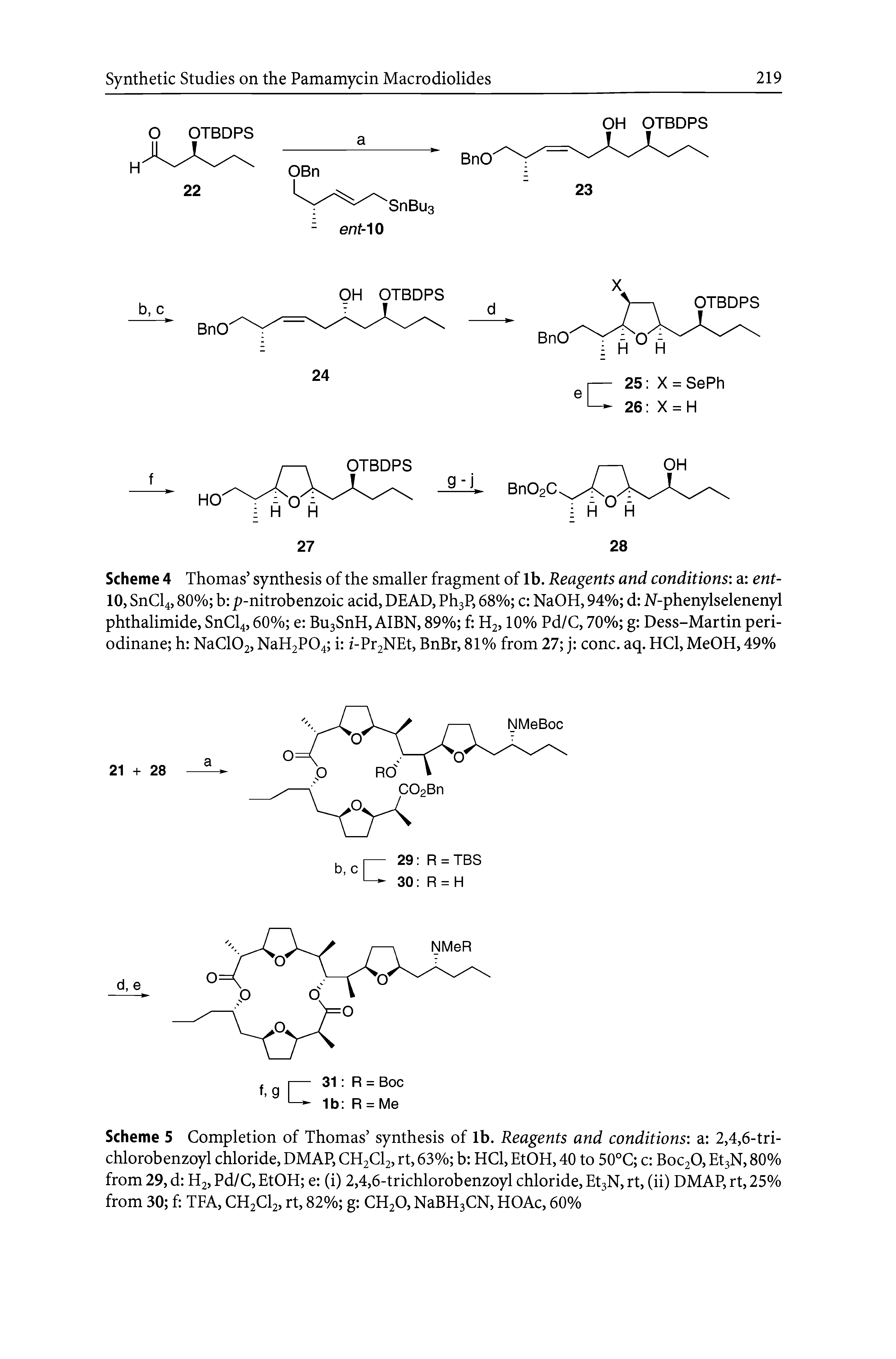 Scheme 5 Completion of Thomas synthesis of lb. Reagents and conditions a 2,4,6-tri-chlorobenzoyl chloride, DMAP, CH2CI2, rt, 63% b HCl, EtOH, 40 to 50°C c B0C2O, Et3N, 80% from 29, d H2, Pd/C, EtOH e (i) 2,4,6-trichlorobenzoyl chloride, Et3N, rt, (ii) DMAP, rt, 25% from 30 f TEA, CH2CI2, rt, 82% g CH2O, NaBH3CN, HOAc, 60%...