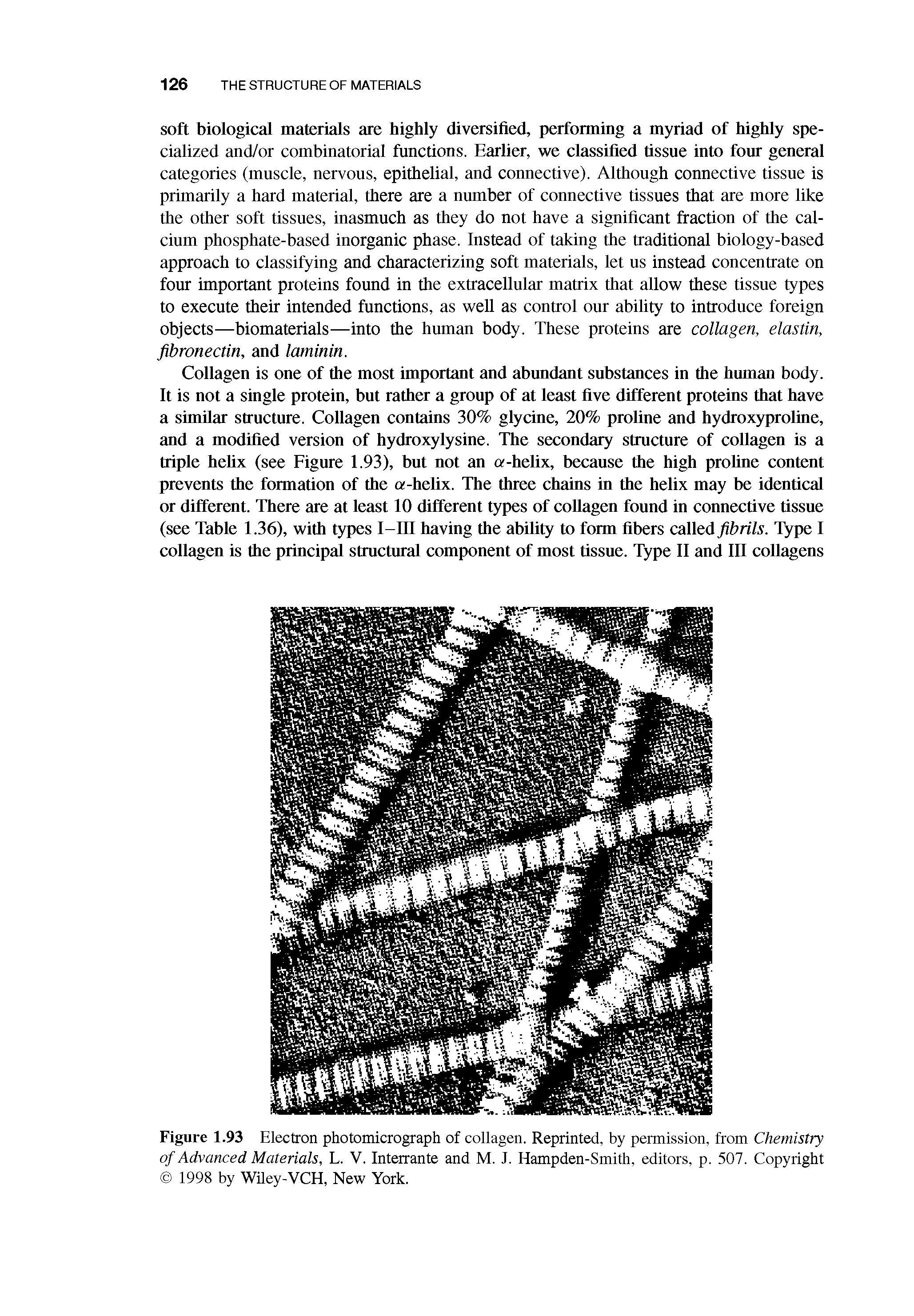 Figure 1.93 Electron photomicrograph of collagen. Reprinted, by permission, from Chemistry of Advanced Materials, L. V. Interrante and M. J. Hampden-Smith, editors, p. 507. Copyright 1998 by Wiley-VCH, New York.