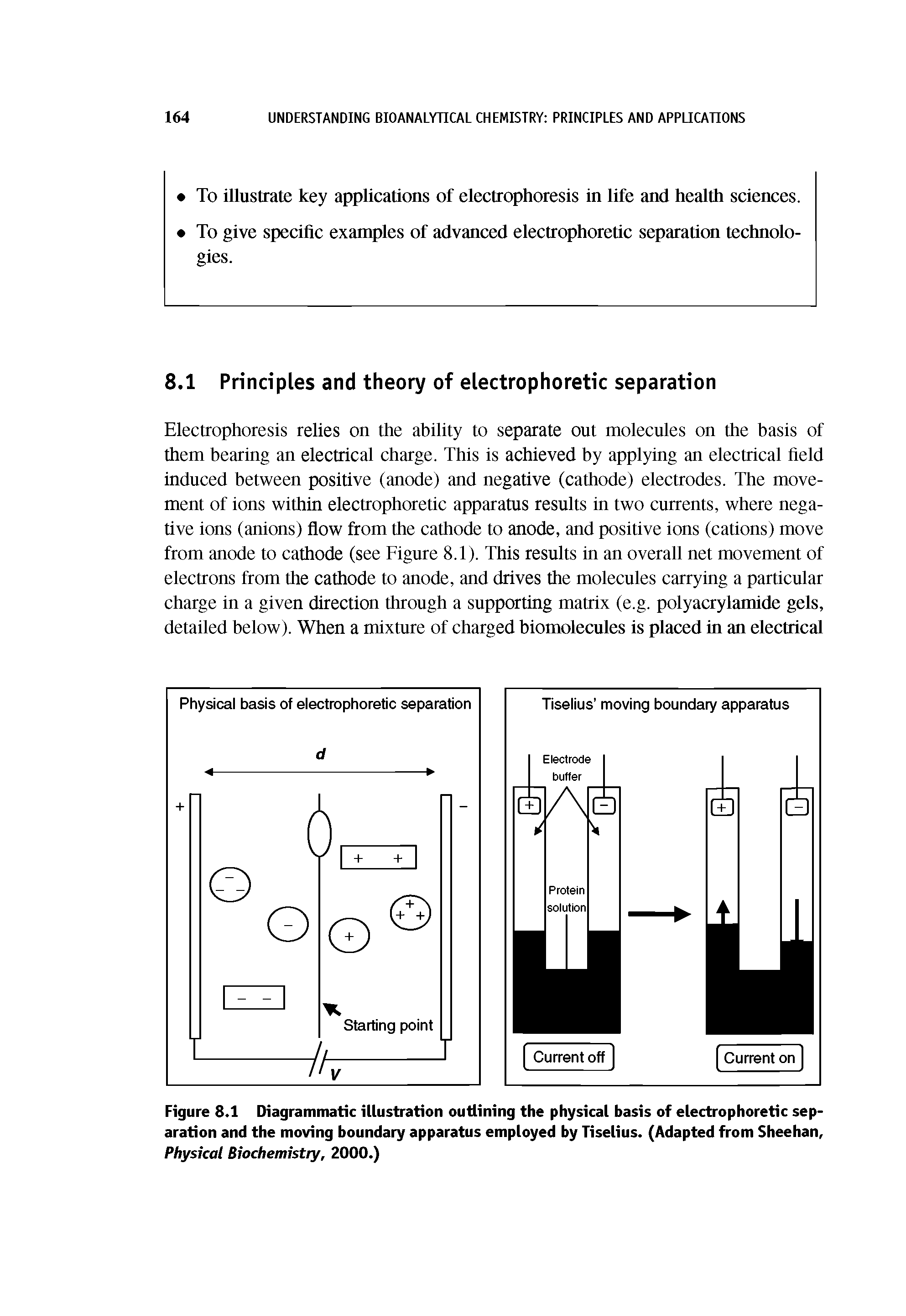 Figure 8.1 Diagrammatic illustration outlining the physical basis of electrophoretic separation and the moving boundary apparatus employed by Tiselius. (Adapted from Sheehan, Physical Biochemistry, 2000.)...