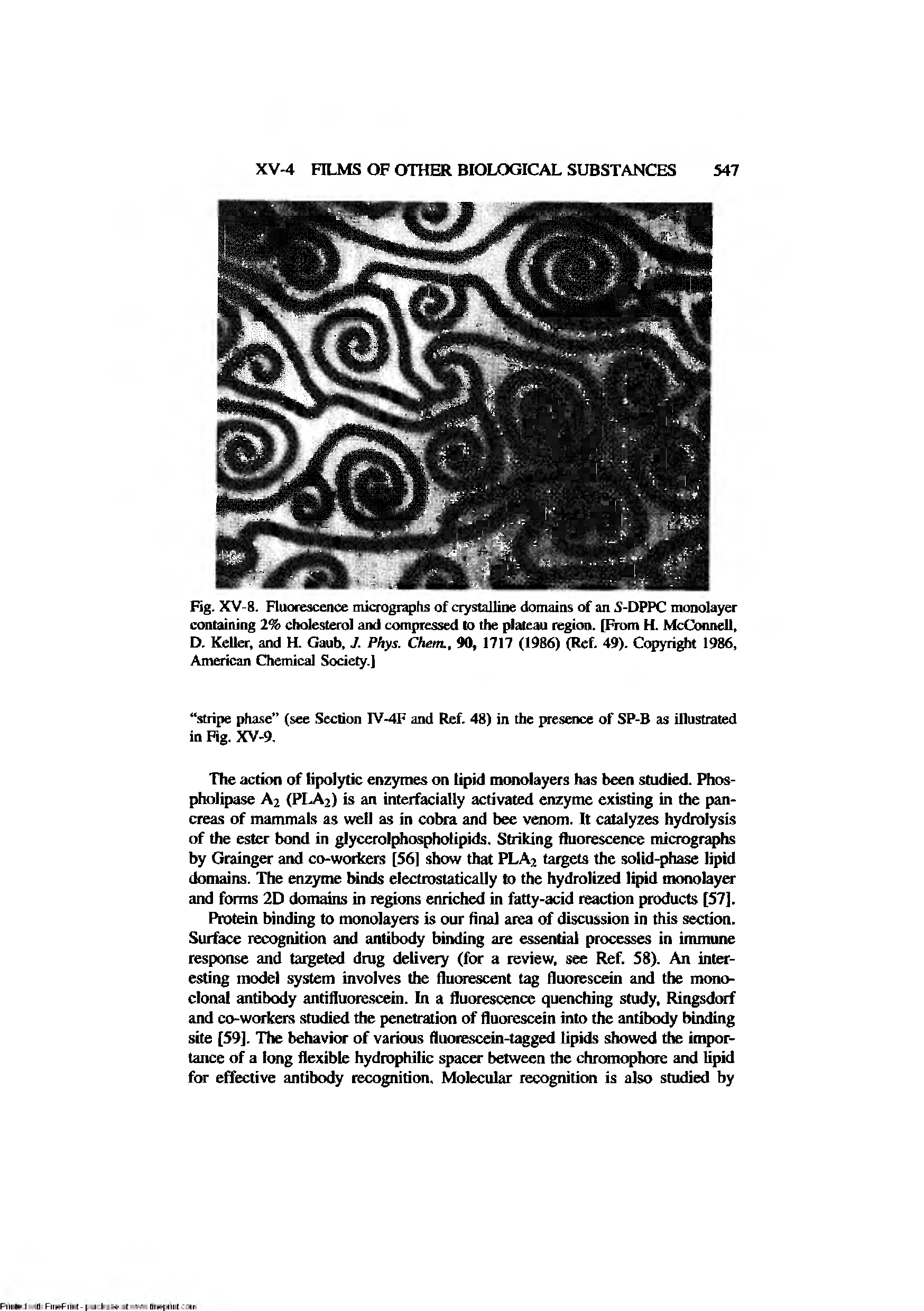 Fig. XV-8. Fluorescence micrographs of crystalline domains of an S-DPPC monolayer containing 2% cholesterol and compressed to the plateau region. [From H. McConnell, D. Keller, and H. Gaub, J. Phys. Chetn., 40, 1717 (I486) (Ref, 49). Copyright 1986, American Chemical Society.]...