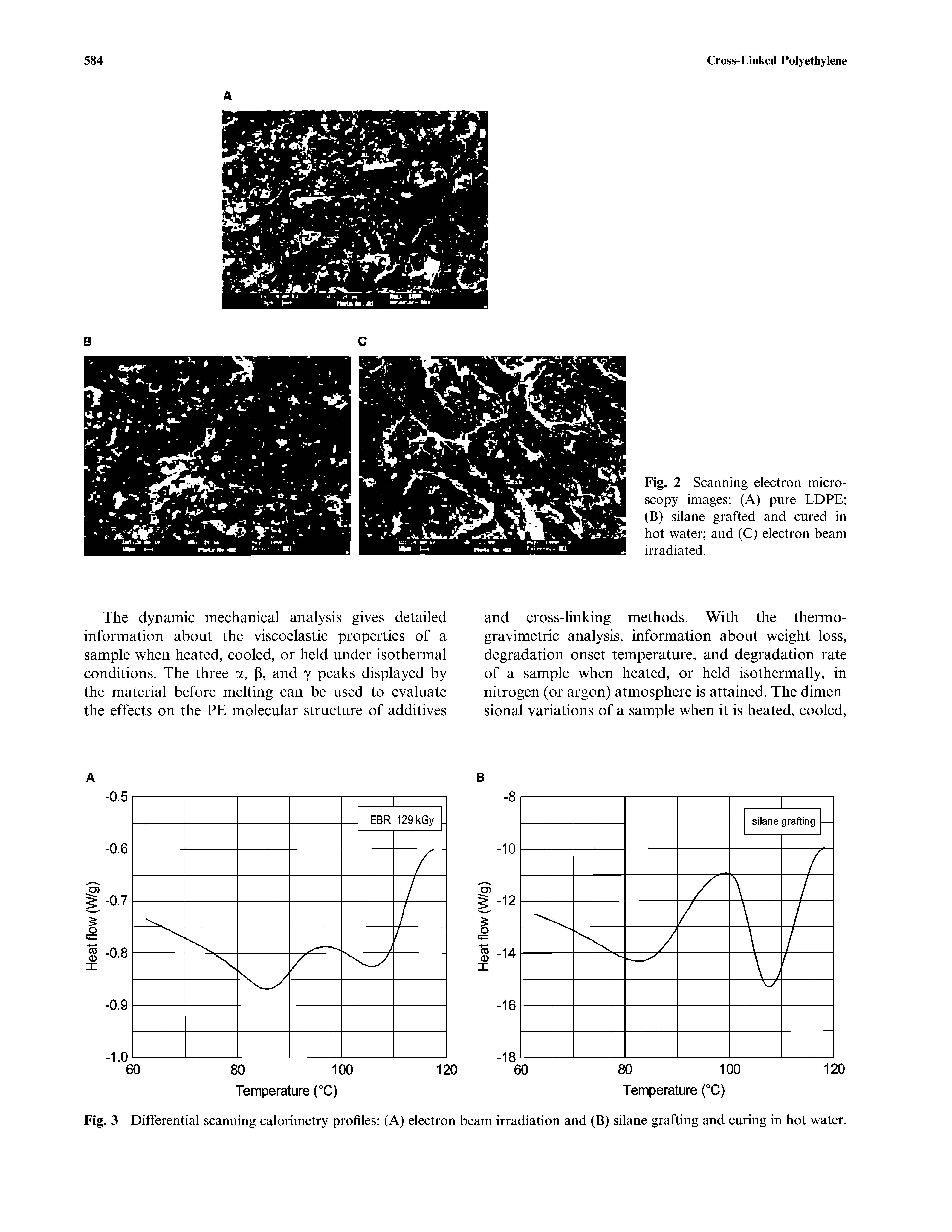 Fig. 3 Differential scanning calorimetry profiles (A) electron beam irradiation and (B) silane grafting and curing in hot water.