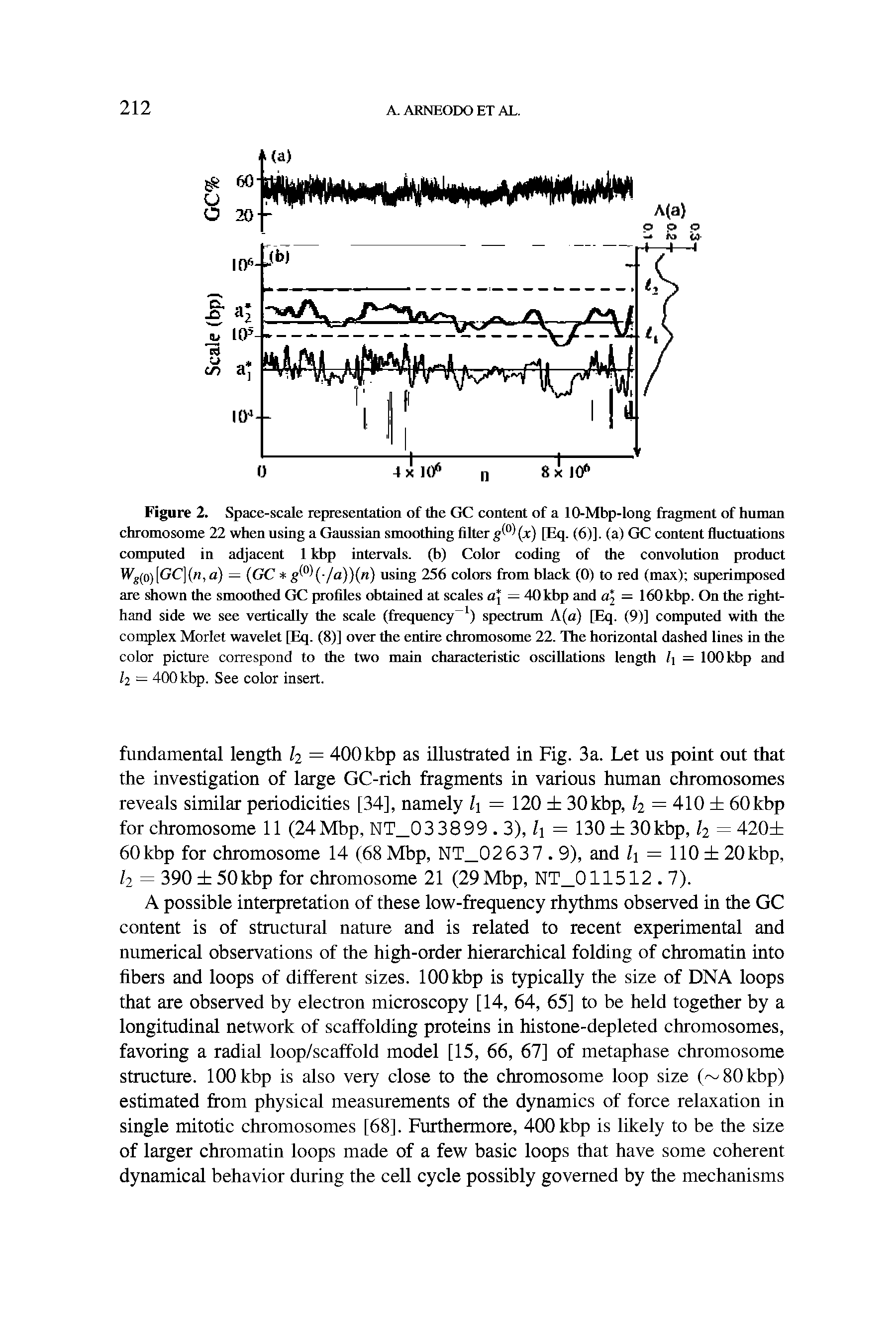 Figure 2. Space-scale representation of the GC content of a 10-Mbp-long fragment of human chromosome 22 when using a Gaussian smoothing filter (x) [Eq. (6)]. (a) GC content flucmations computed in adjacent 1 kbp intervals, (b) Color coding of the convolution product Wg(o)[GC](n,a) = (GC /a))(n) using 256 colors from black (0) to red (max) superimposed...