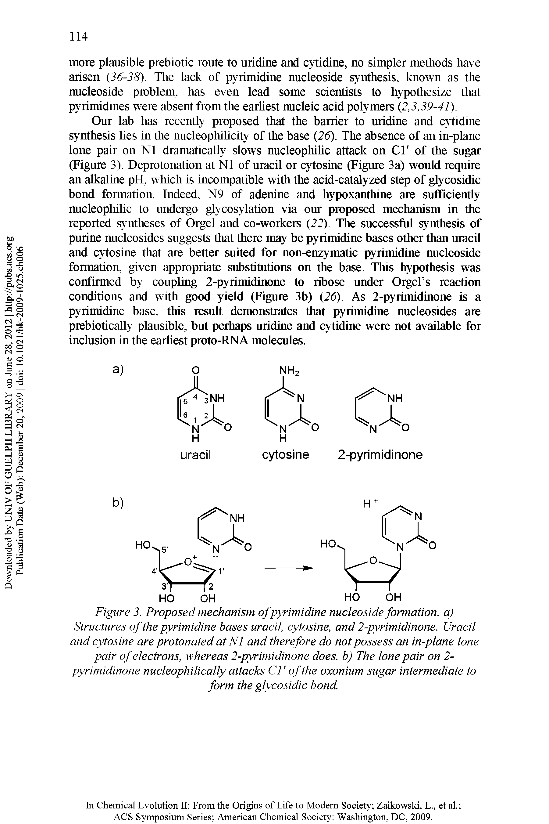 Figure 3. Proposed mechanism of pyrimidine nucleoside formation, a) Structures of the pyrimidine bases uracil, cytosine, and 2-pyrimidinone. Uracil and cytosine are protonated at N1 and therefore do not possess an in-plane lone pair of electrons, whereas 2-pyrimidinone does, b) The lone pair on 2-pyrimidinone nucleophilically attacks Cl of the oxonium sugar intermediate to form the glycosidic bond.