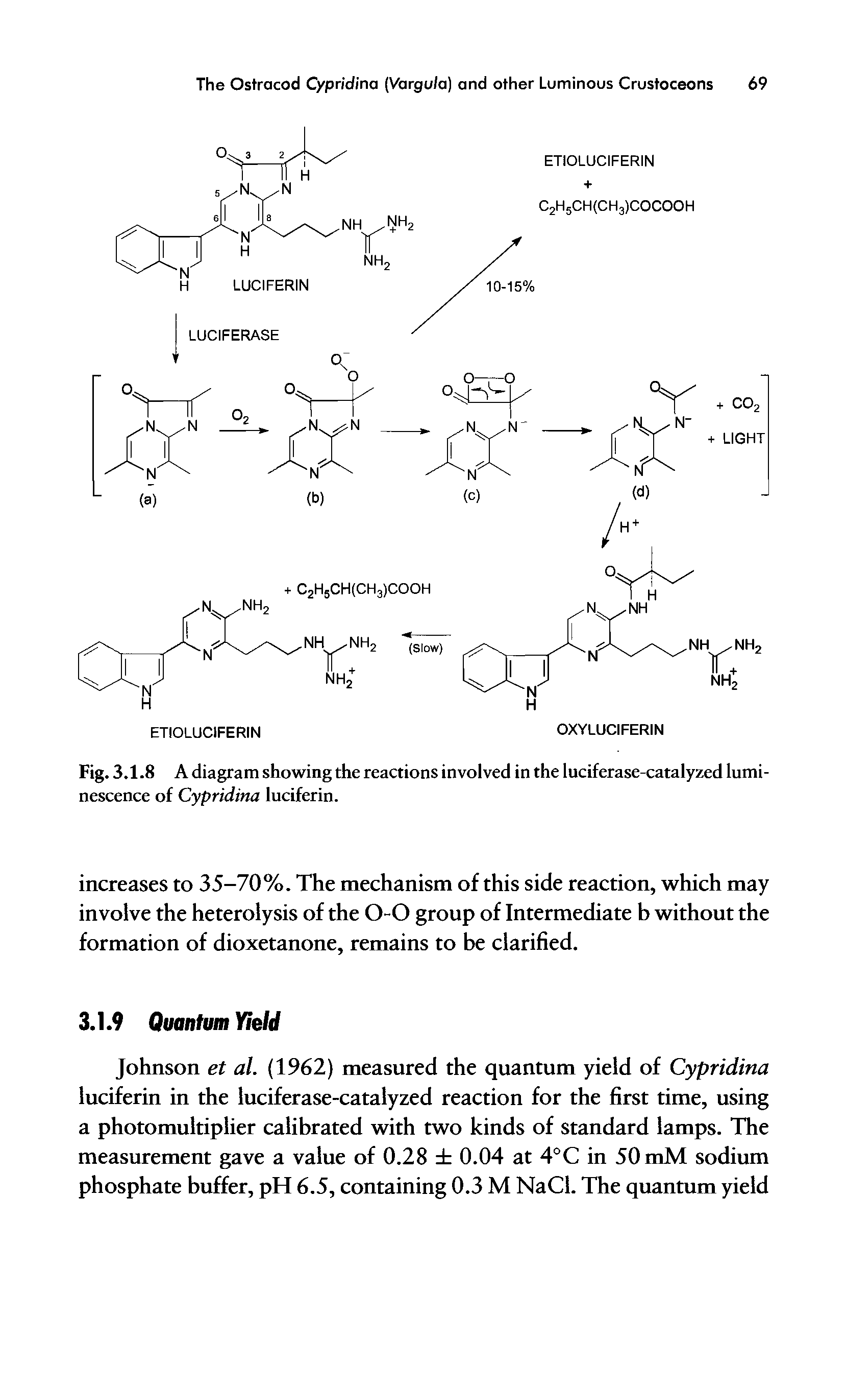 Fig. 3.1.8 A diagram showing the reactions involved in the luciferase-catalyzed luminescence of Cypridina luciferin.