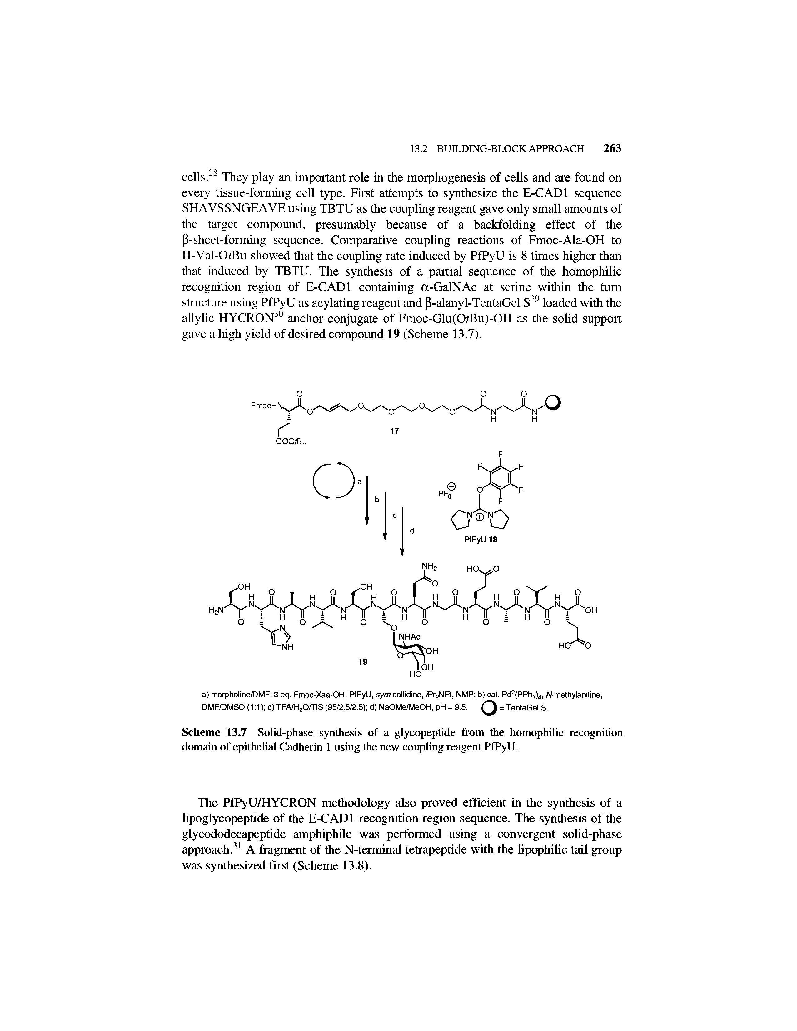 Scheme 13.7 Solid-phase synthesis of a glycopeptide from the homophilic recognition domain of epithelial Cadherin 1 using the new coupling reagent PfPyU.