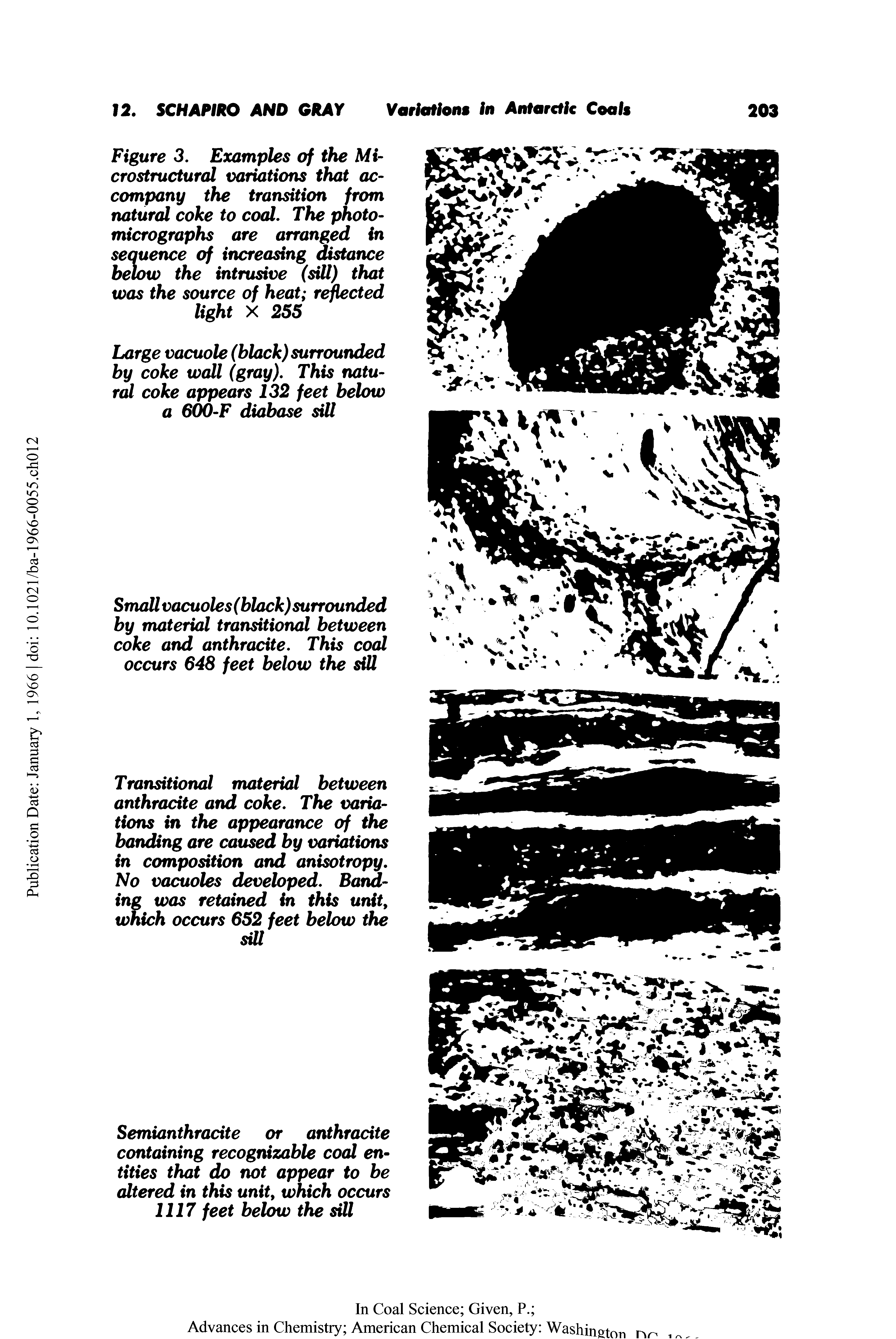 Figure 3. Examples of the Mi-crostructural variations that accompany the transition from natural coke to coal. The photomicrographs are arranged in sequence of increasing distance below the intrusive (sill) that was the source of heat reflected light X 255...